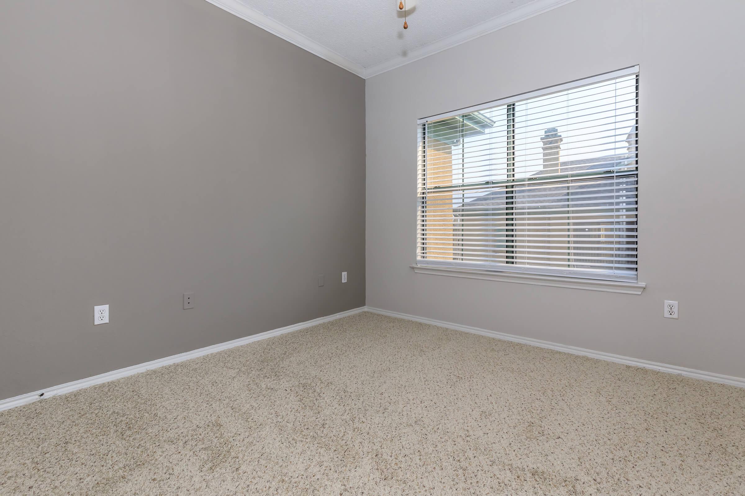 A sparsely furnished room with light gray walls and beige carpet. A window with blinds allows natural light to enter, providing a view of the outside. The space is empty, creating an open and airy feel, suitable for various uses such as a bedroom or office.