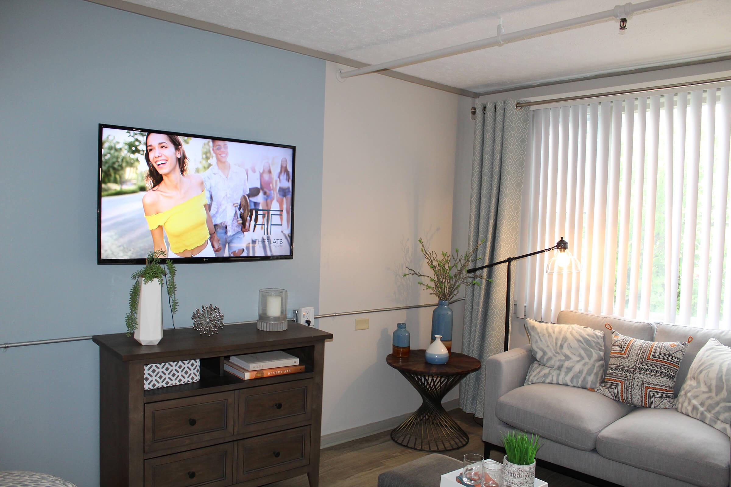 A modern living room with a gray sofa, a wooden side table, and decorative items. A flat-screen TV on the wall displays a vibrant image of a smiling woman outside. The room has light blue walls, large vertical blinds, and a floor lamp, creating a cozy and inviting atmosphere.