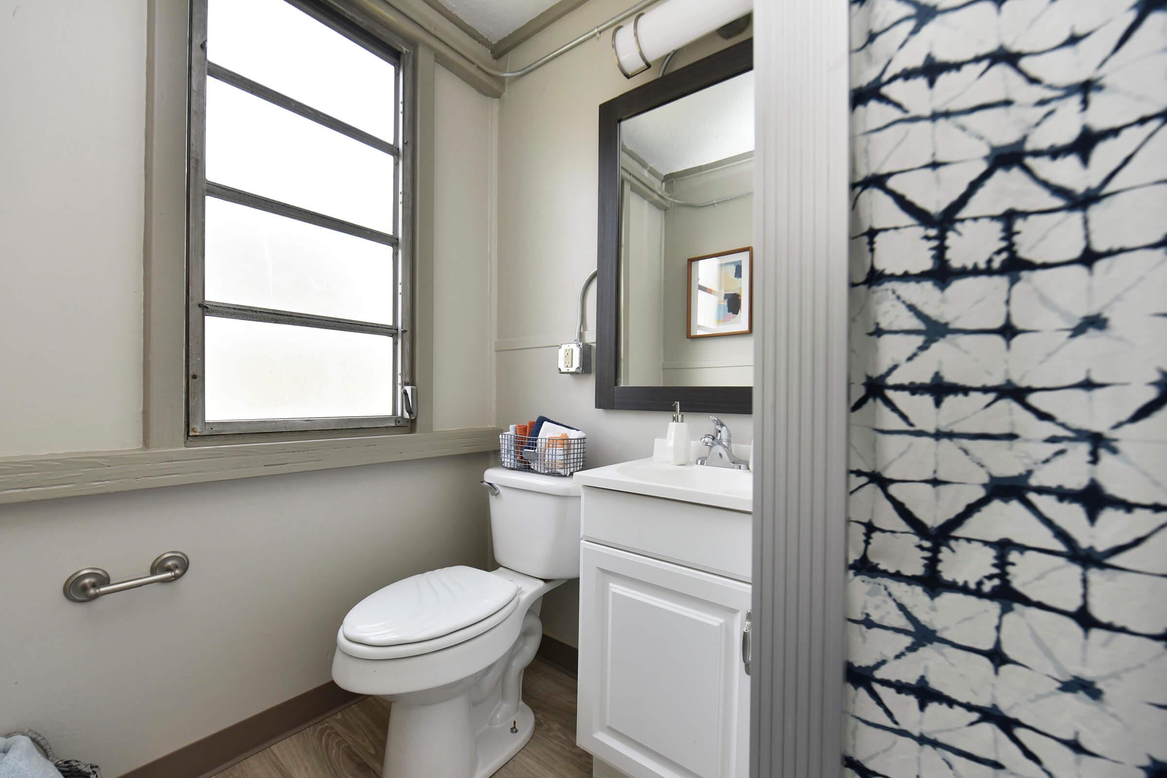 A small, modern bathroom featuring a white toilet, a light-colored vanity with a sink, and a large mirror. A patterned shower curtain provides color, while a window allows natural light. The floor is wooden, and there are toiletries neatly arranged on the vanity.