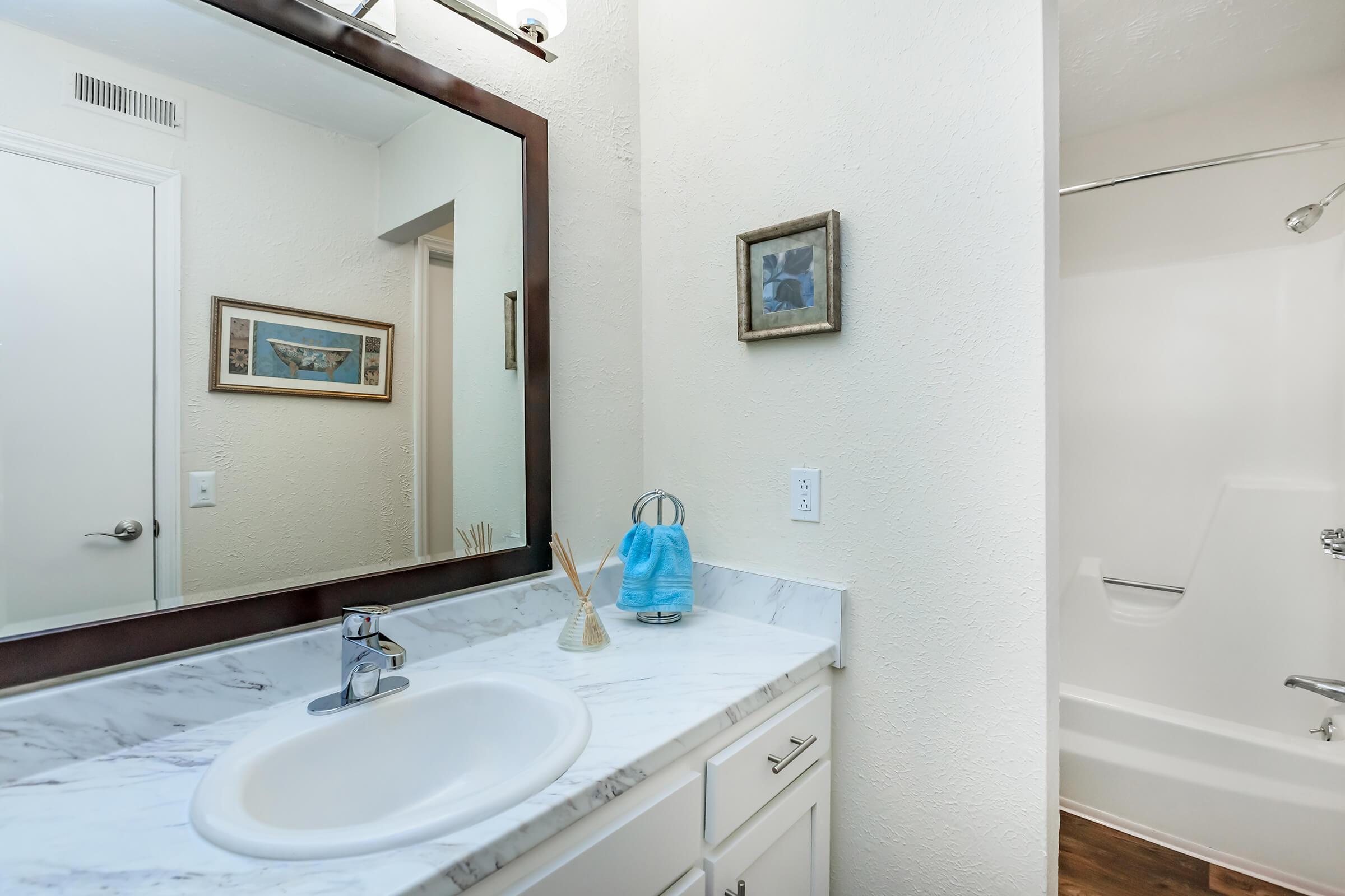 Spacious Bathroom Countertop at Chase Cove Apartments in Nashville, TN