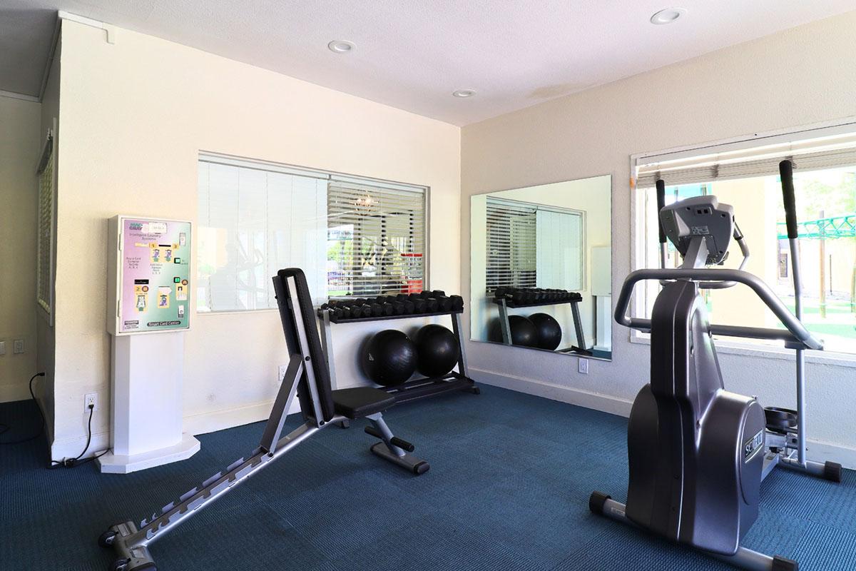 A bright gym room featuring exercise equipment, including a treadmill, a weight bench with weights, and exercise balls. There are mirrors on the wall and a vending machine in the corner, with blue carpeting underfoot. Natural light comes in through windows, creating an inviting workout space.