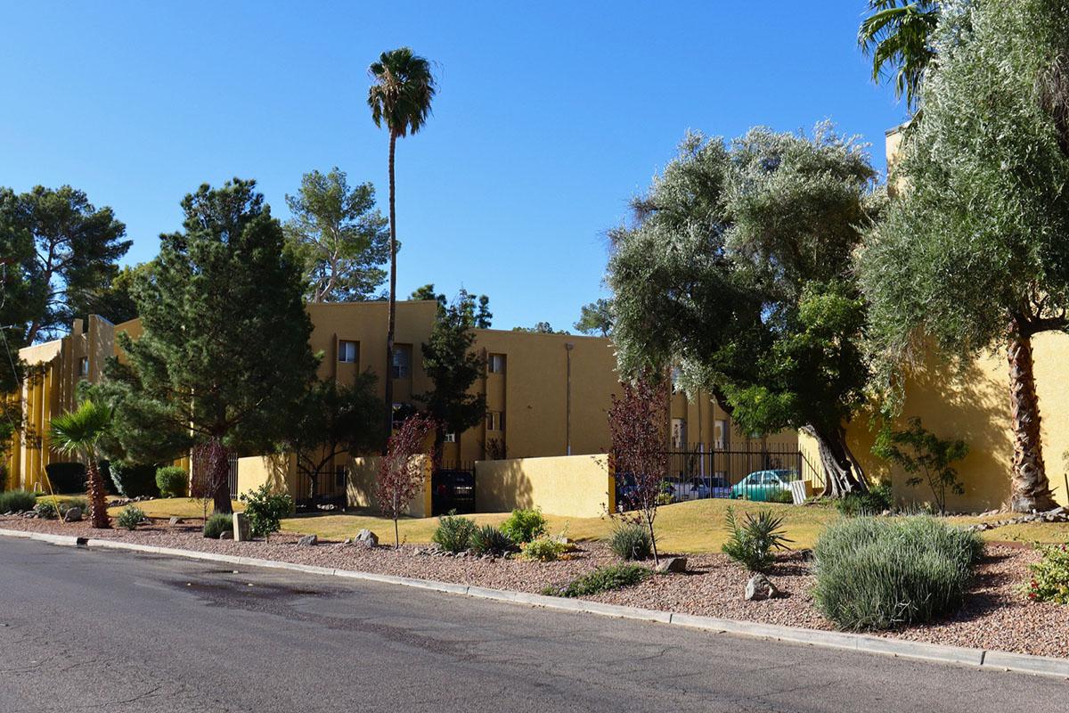 A view of a residential area featuring yellow buildings surrounded by various trees and shrubs. The street is lined with palm and other greenery, indicating a warm climate. Clear blue sky above enhances the landscape.