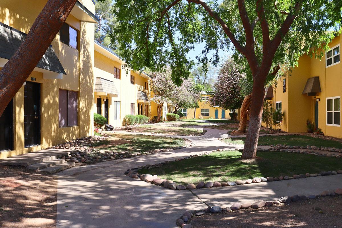 A sunny courtyard with yellow buildings on either side. Lush green grass and trees provide shade, while a pathway curves through the center, bordered by small rocks. The scene captures a peaceful outdoor environment ideal for relaxation.