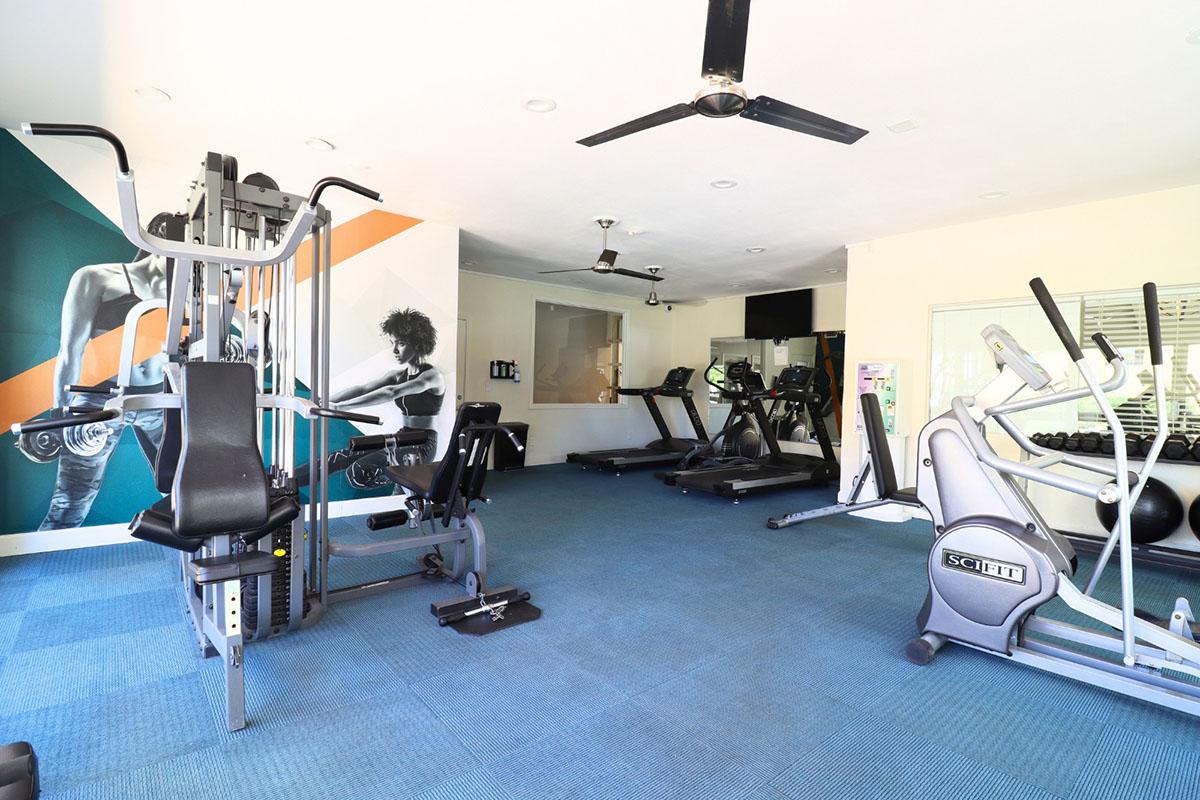 A modern gym interior featuring various workout equipment, including a weight machine, treadmills, and an elliptical trainer. The walls are decorated with a large fitness-themed mural. The flooring is blue, and there are ceiling fans for ventilation, creating a spacious and inviting fitness environment.