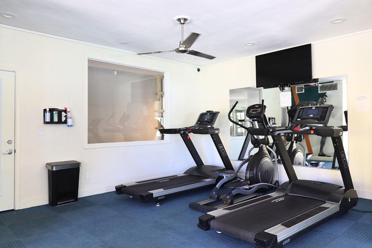 A modern gym interior featuring two treadmills and an elliptical machine, with a ceiling fan and a mounted television on the wall. There is a large window allowing natural light, a mirror reflecting the equipment, and a fire extinguisher mounted nearby. The floor is covered with blue carpet.