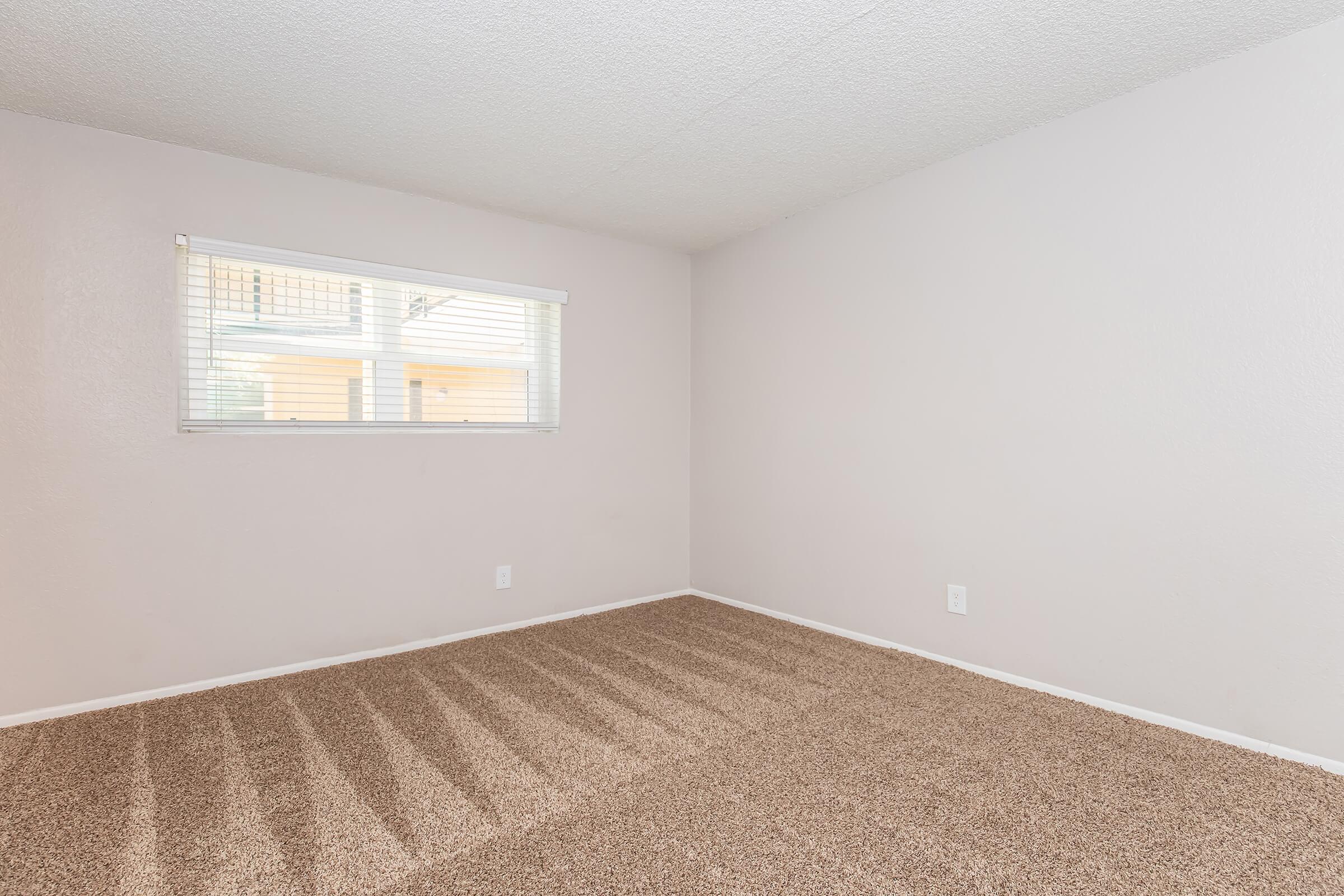 Empty room with beige carpet and light gray walls. A single window with blinds allows natural light to enter. No furniture or decorations present, creating a spacious and minimalistic feel.