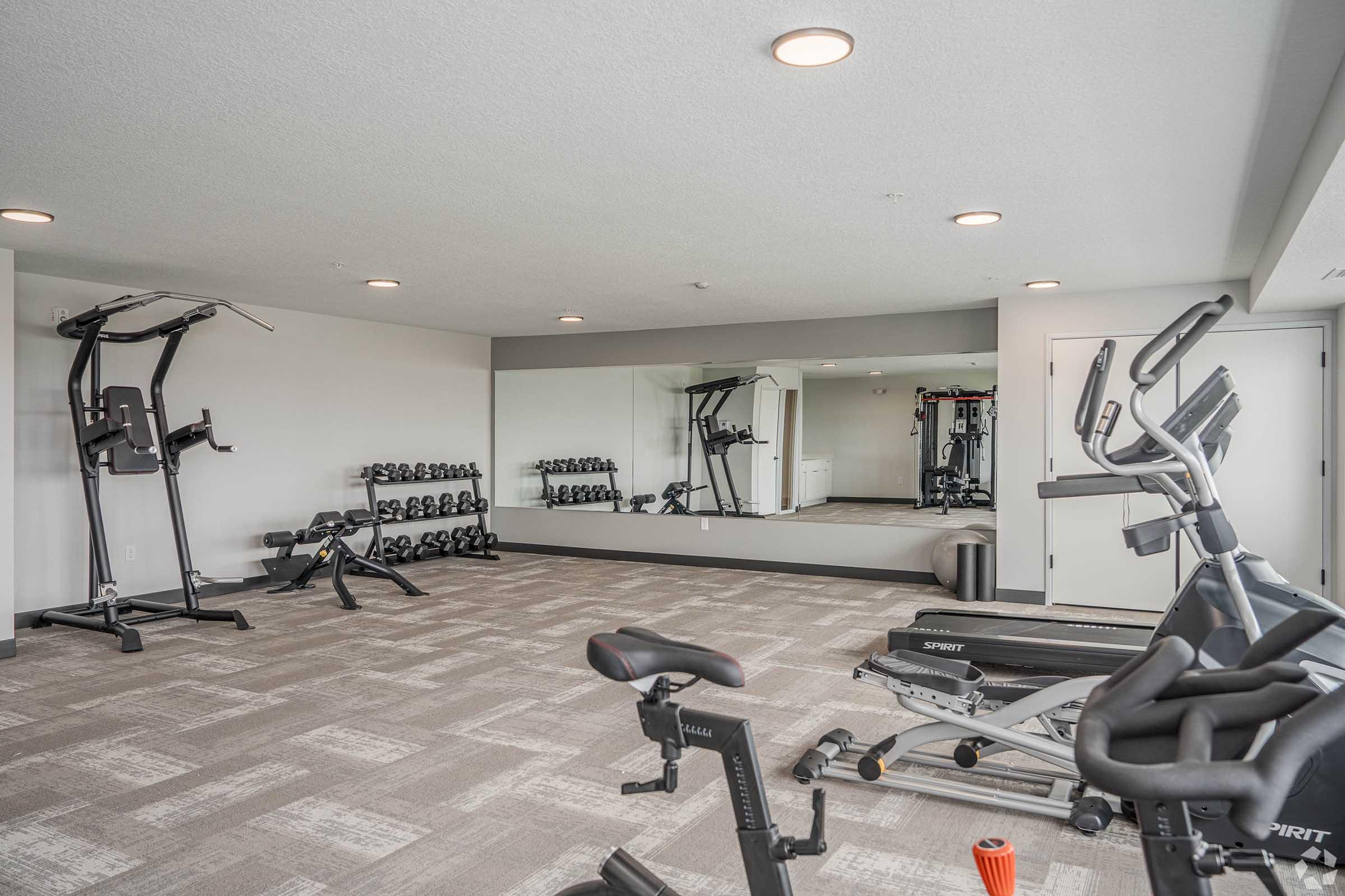 A modern home gym featuring various fitness equipment including dumbbells on racks, a multi-functional workout machine, an elliptical machine, and a bench. There is a large mirror along one wall, and the flooring is light-colored carpet with a textured pattern.