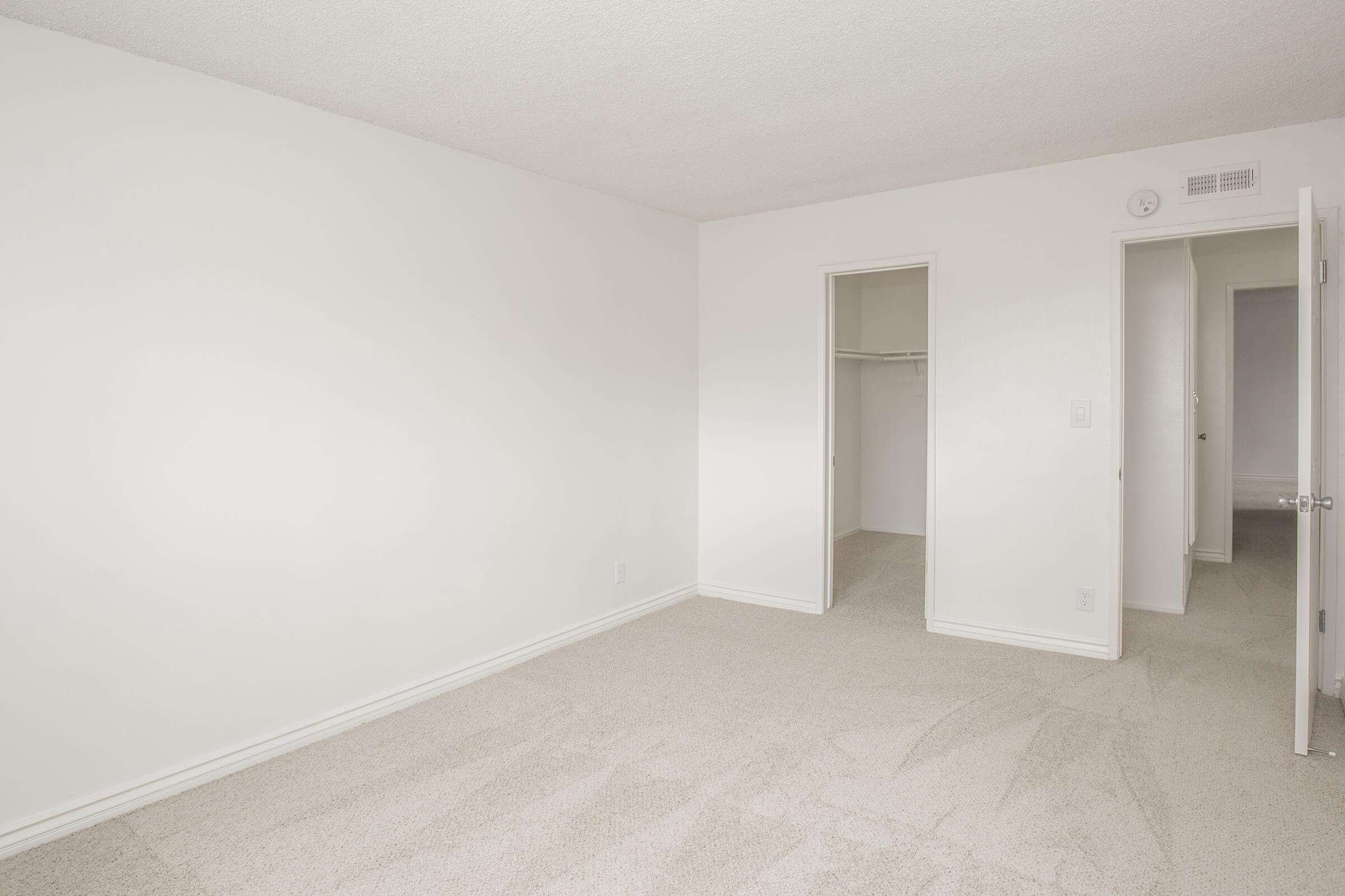 Carpeted bedroom with walk-in closet