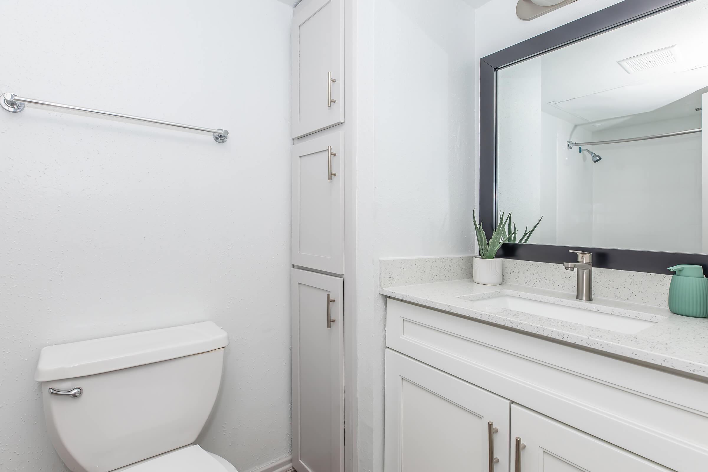 Modern bathroom featuring a white toilet, a sink with a sleek countertop, a large mirror, and storage cabinets. A small plant adds a touch of greenery to the decor. The walls are painted in a light color, creating a clean and bright atmosphere. A shower area is visible in the background.