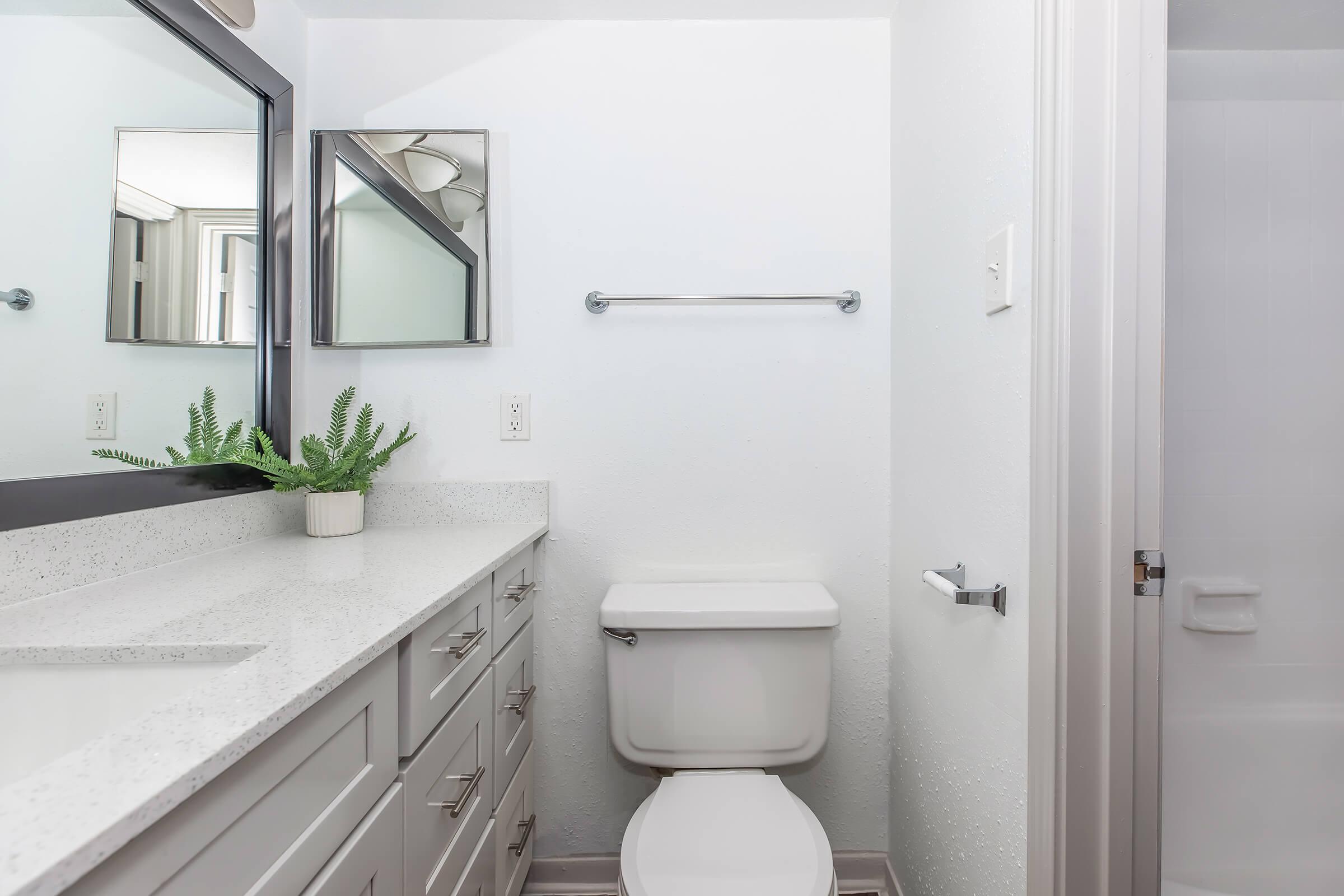 A modern bathroom featuring a white vanity with a gray countertop, a rectangular mirror above it, and a small potted plant. The space includes a white toilet and a glass-enclosed shower. The walls are painted in a light color, creating a clean and airy atmosphere.