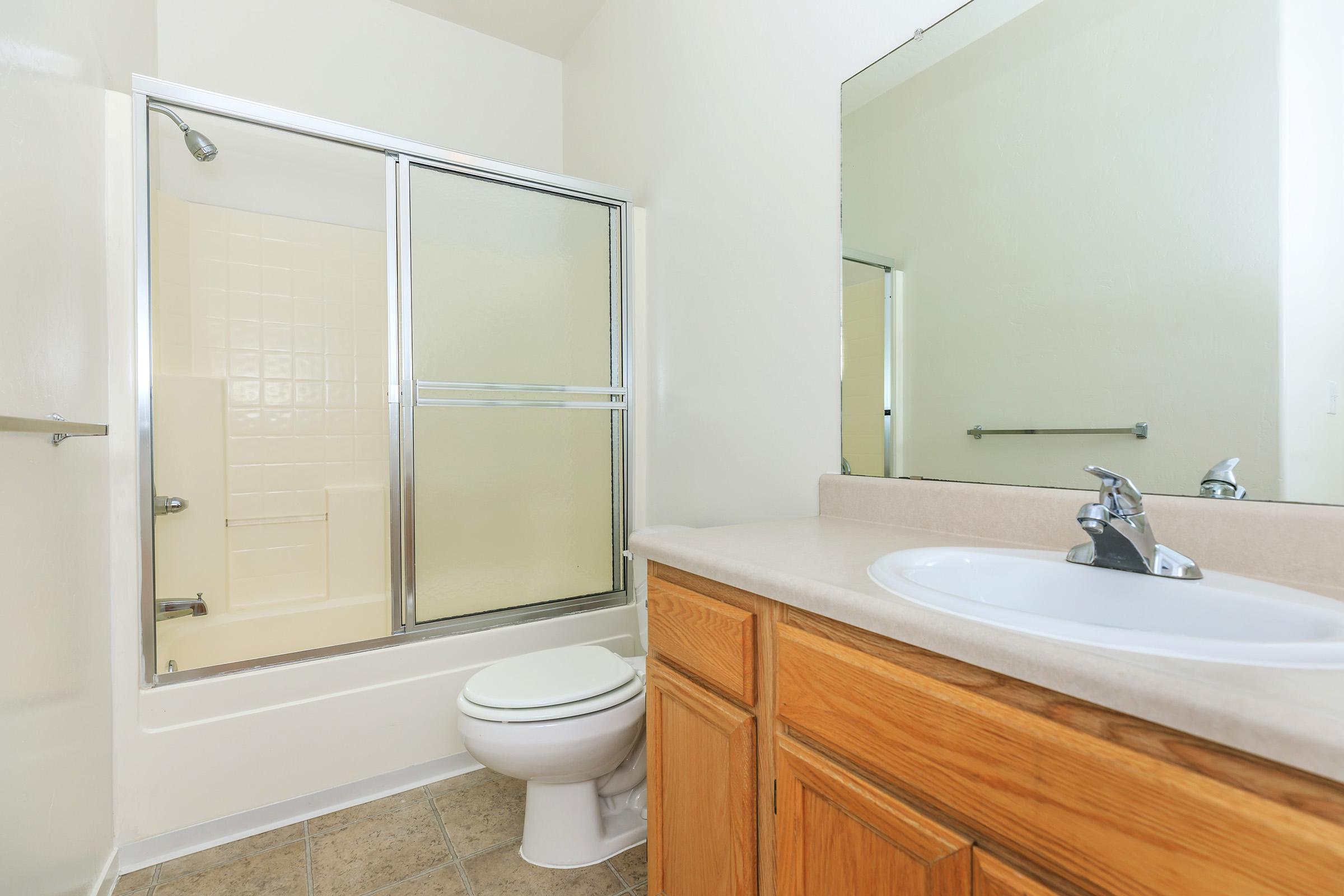 a shower that has a sink and a mirror