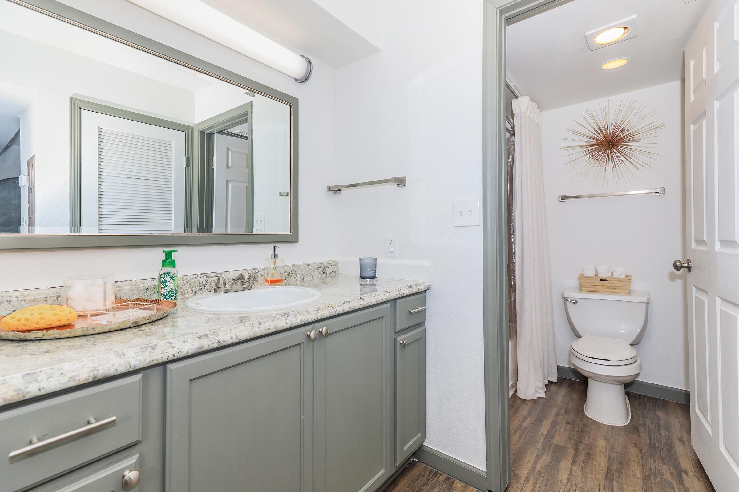 A modern bathroom featuring a granite countertop with a sink, a large mirror above, and neatly arranged toiletries. To the right, a small bathroom area includes a toilet and a shower curtain, with a decorative sunburst wall piece and light-colored walls. The flooring is dark wood.