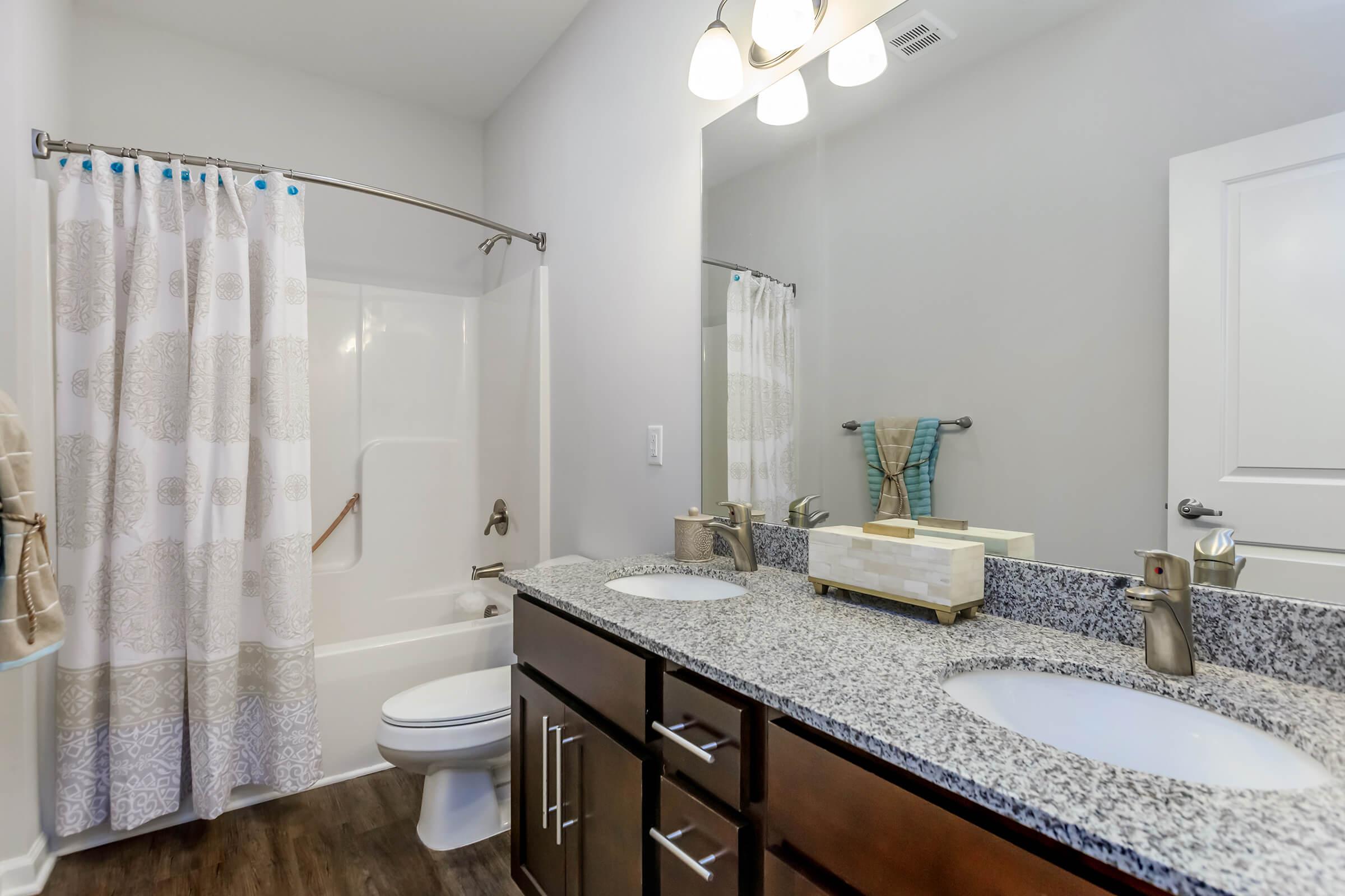 Modern Bathrooms At Riverstone Apartments At Long Shoals in Arden, NC