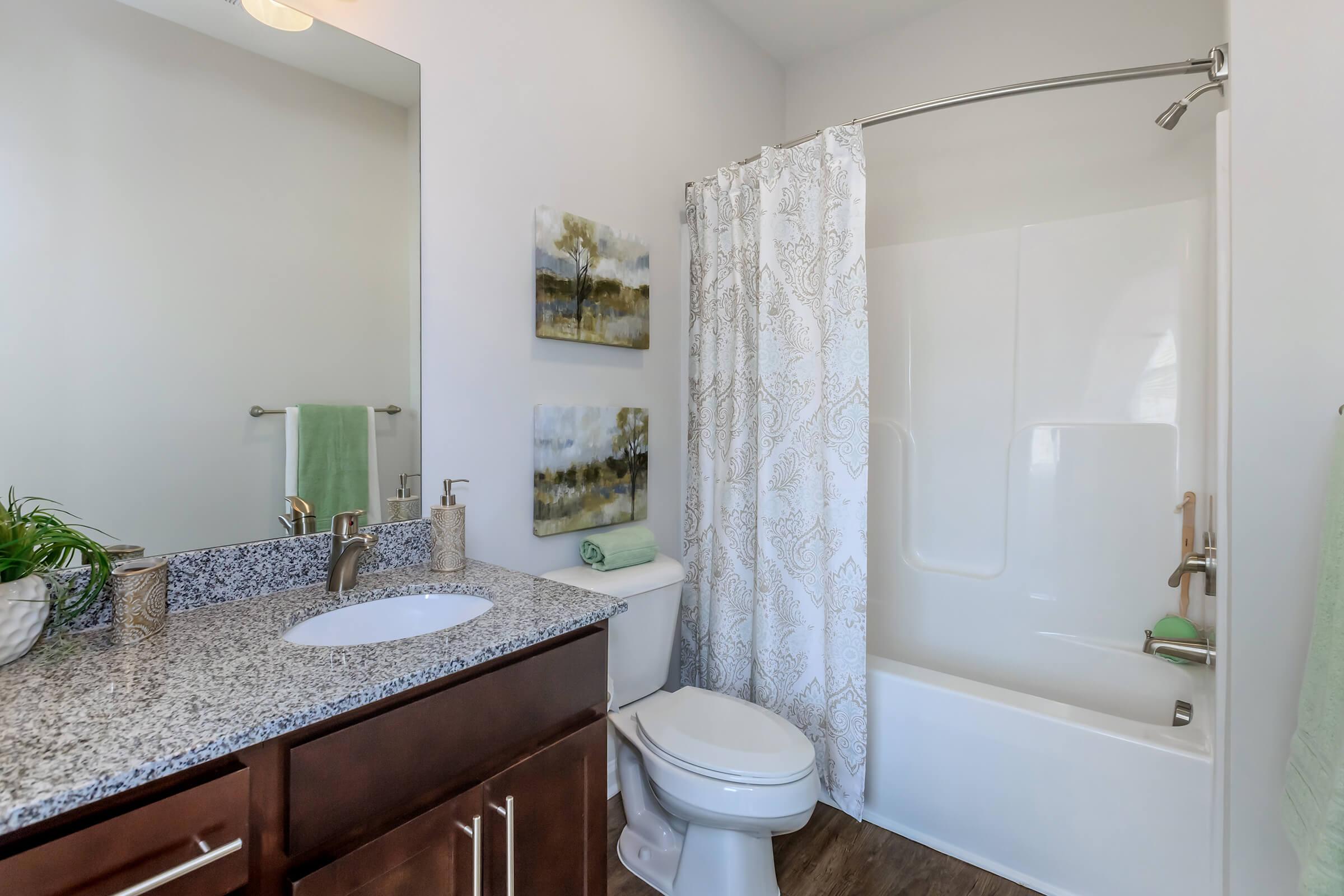 Belhaven Offers Modern Bathrooms At Riverstone Apartments At Long Shoals In Arden, NC