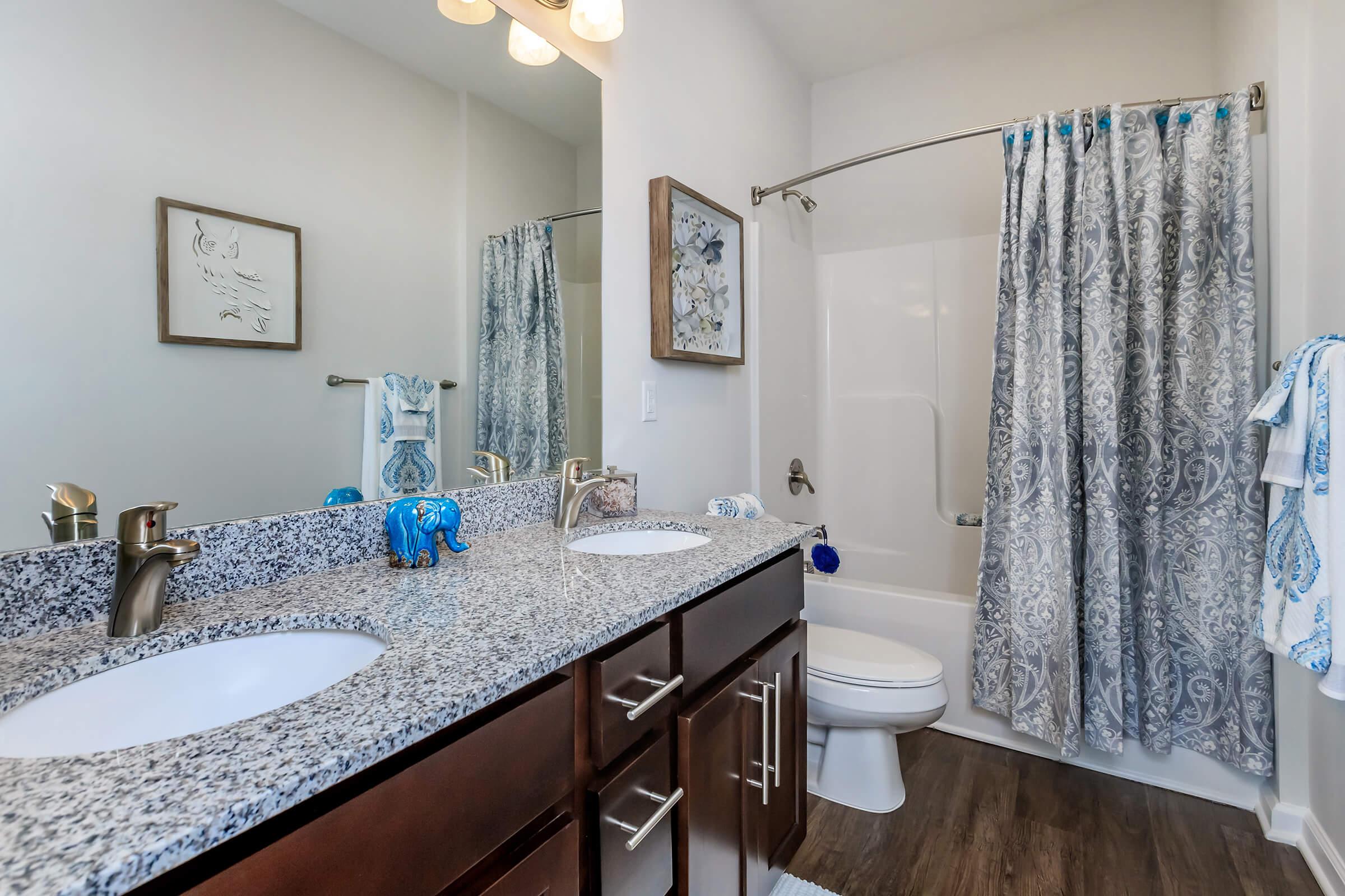 Modern Bathroom In Belhaven At  Riverstone Apartments At Long Shoals In Arden, NC