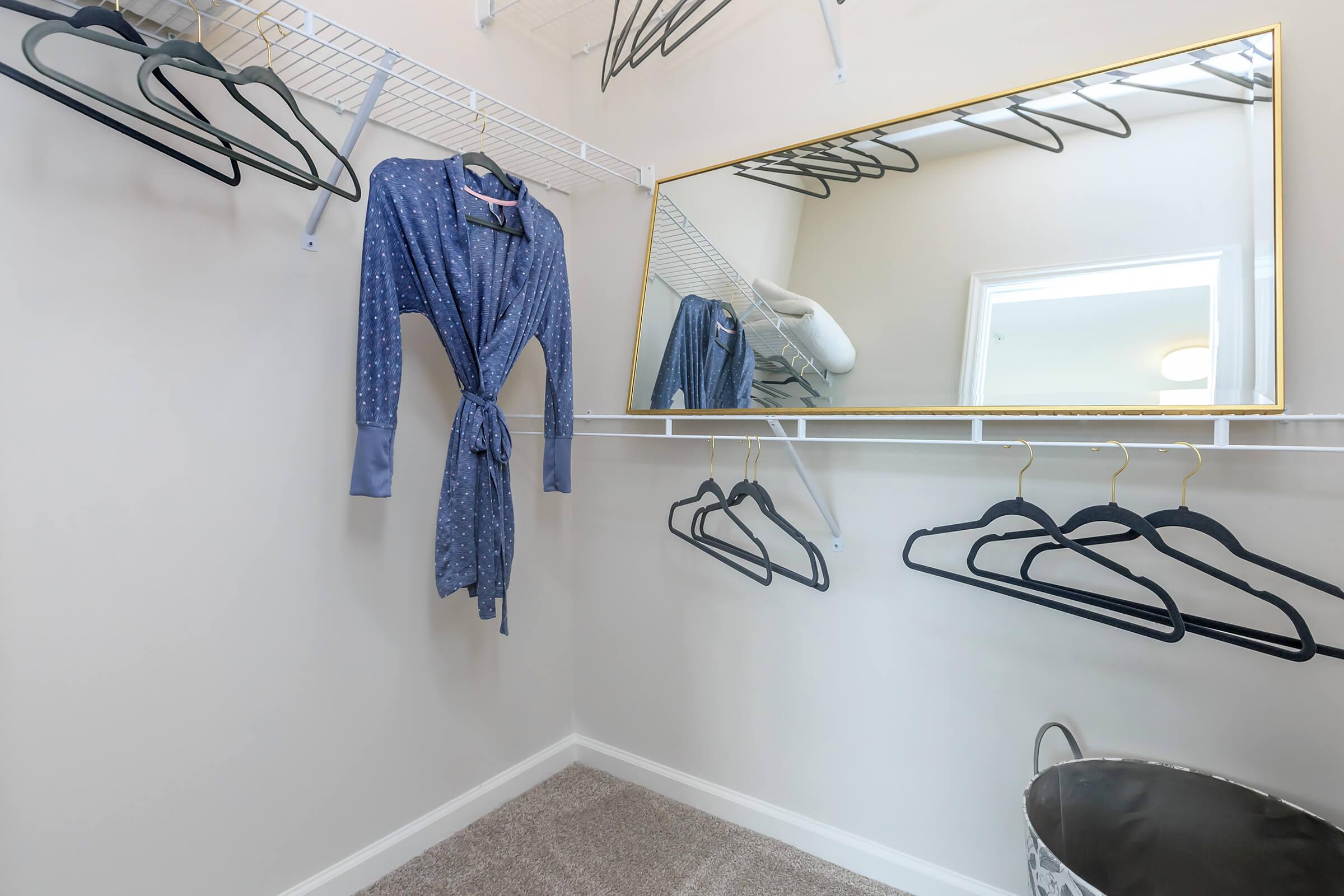 Spacious Closets In Belhaven At Riverstone Apartments At Long Shoals In Arden, NC