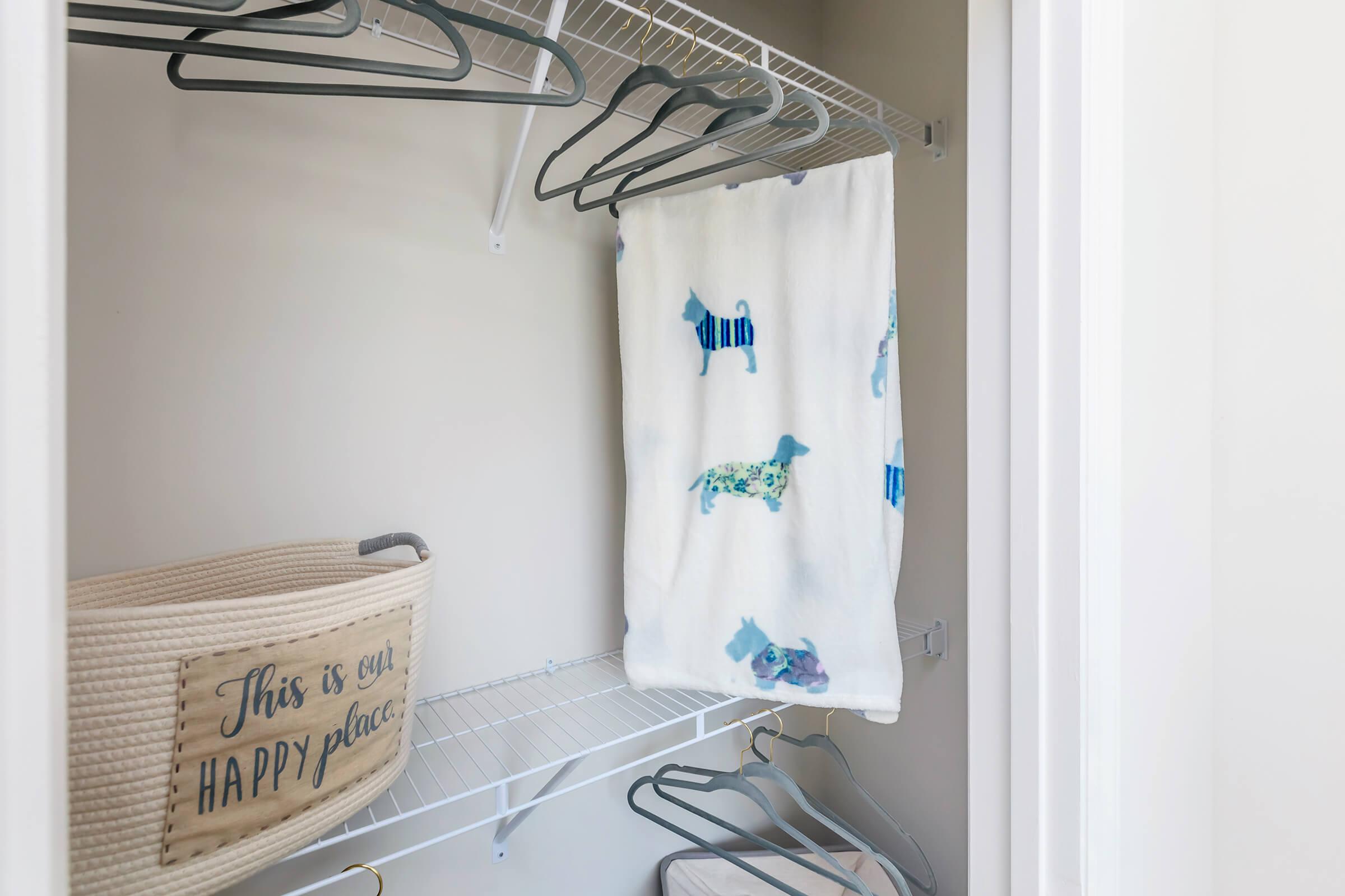 Stay Organized In Riverstone Apartments At Long Shoals In Arden, NC