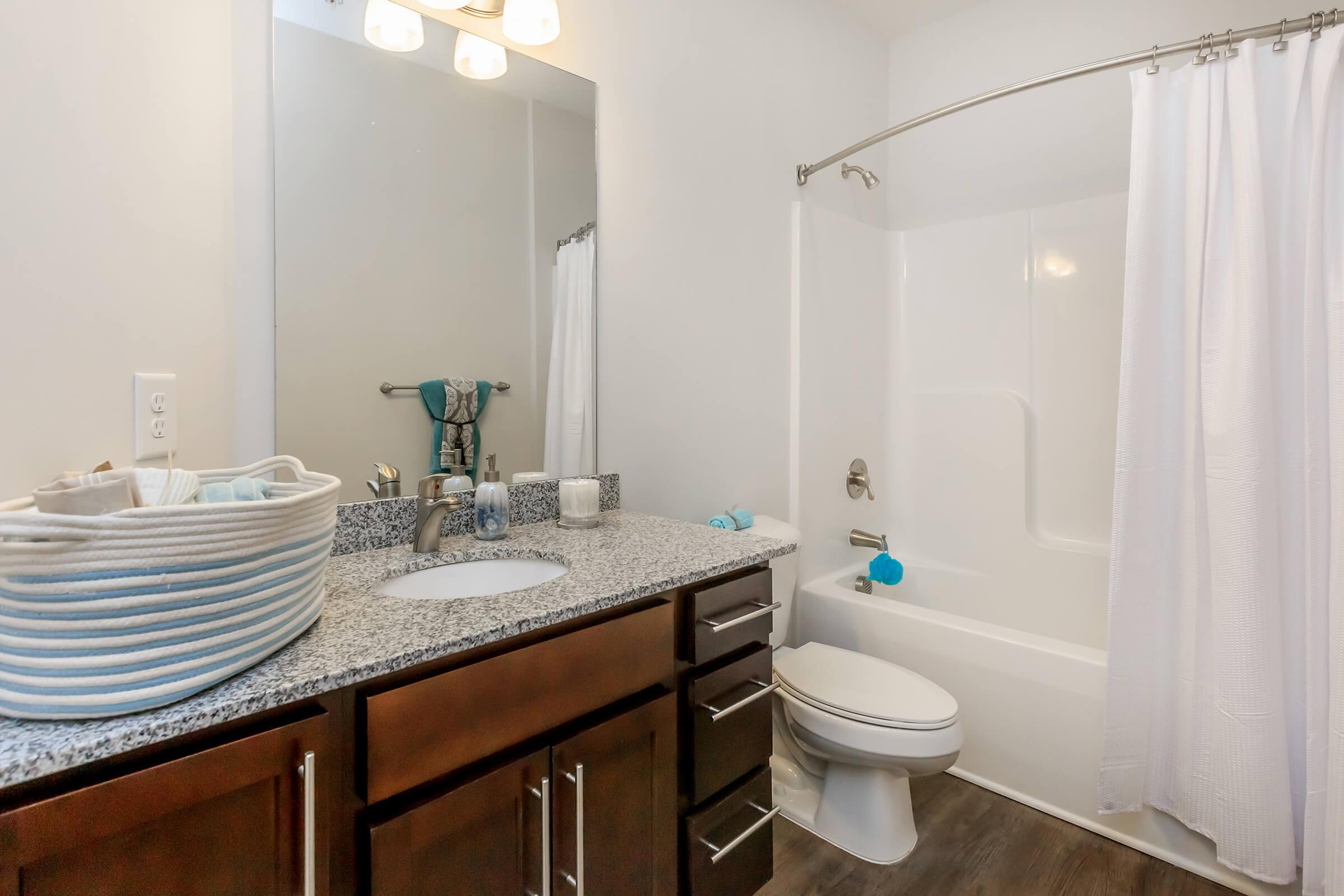 Modern Bathroom In Riverstone Apartments At Long Shoals In Arden, NC