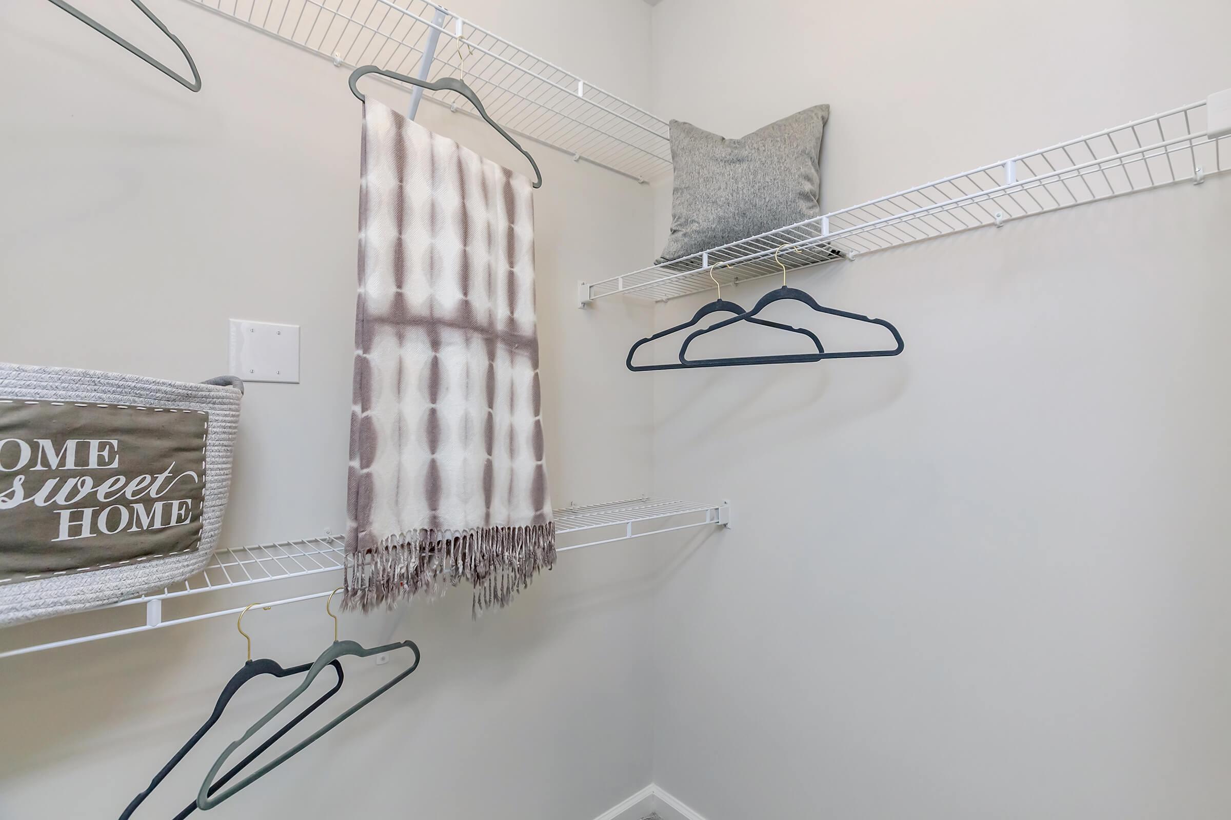 Spacious Closet In Riverstone Apartments At Long Shoals In Arden, NC