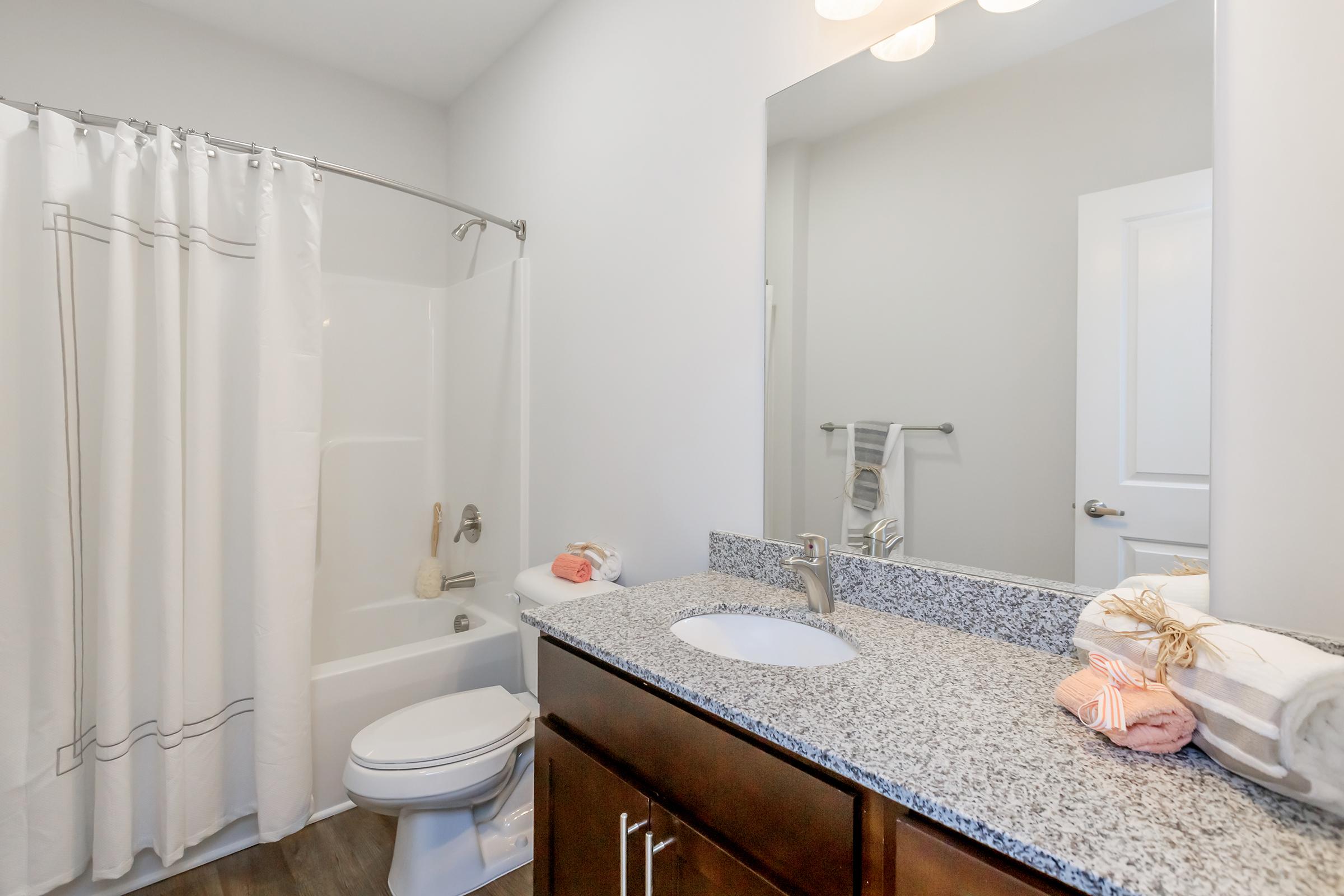 Clarendon Offers Spacious Bathrooms In Riverstone Apartments At Long Shoals In Arden, NC