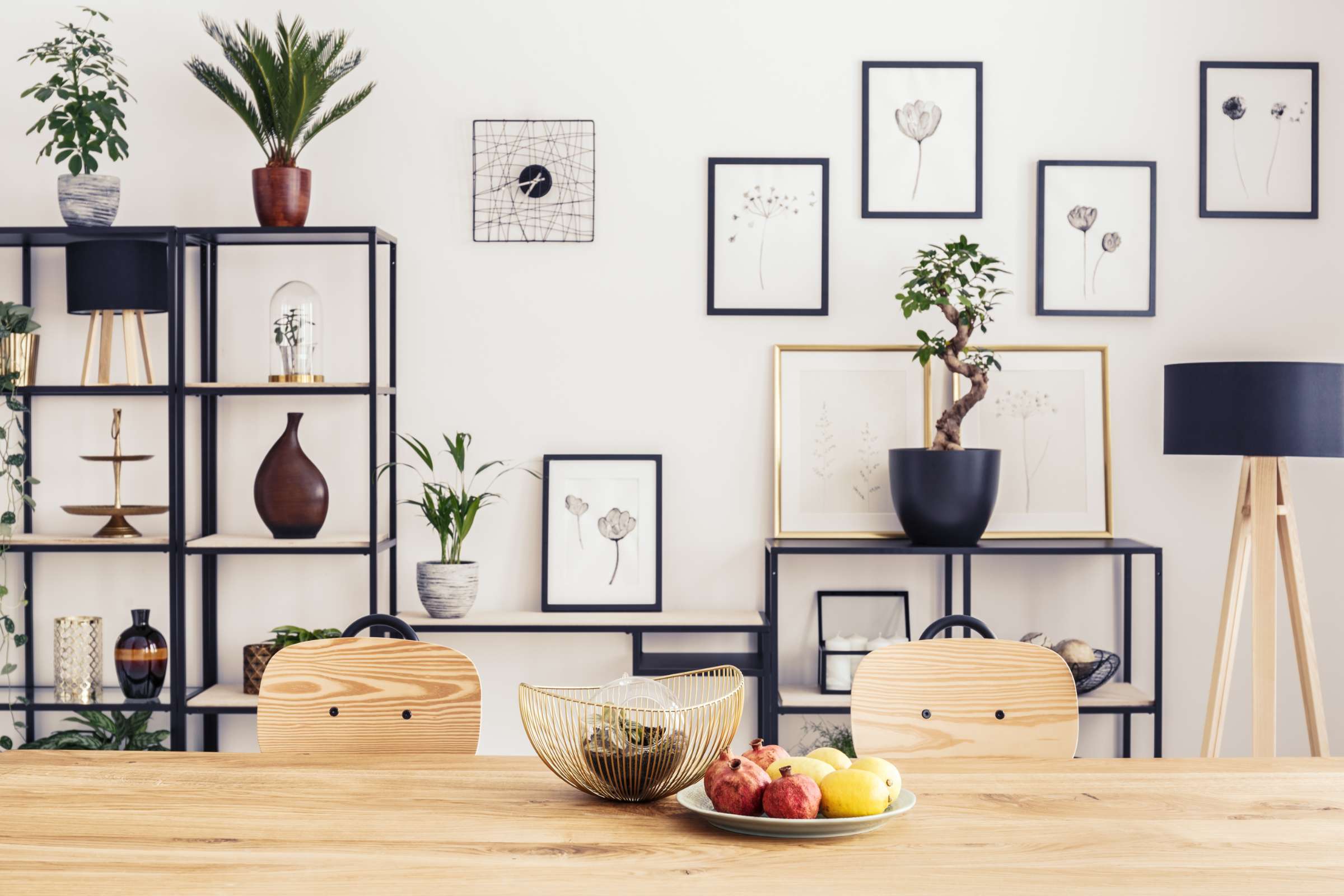 Apartment Features