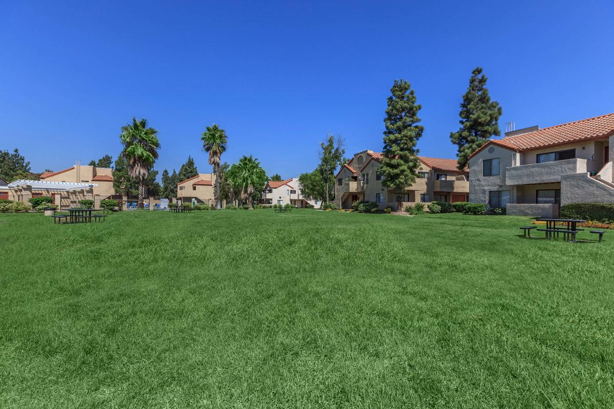 a large lawn in front of a house