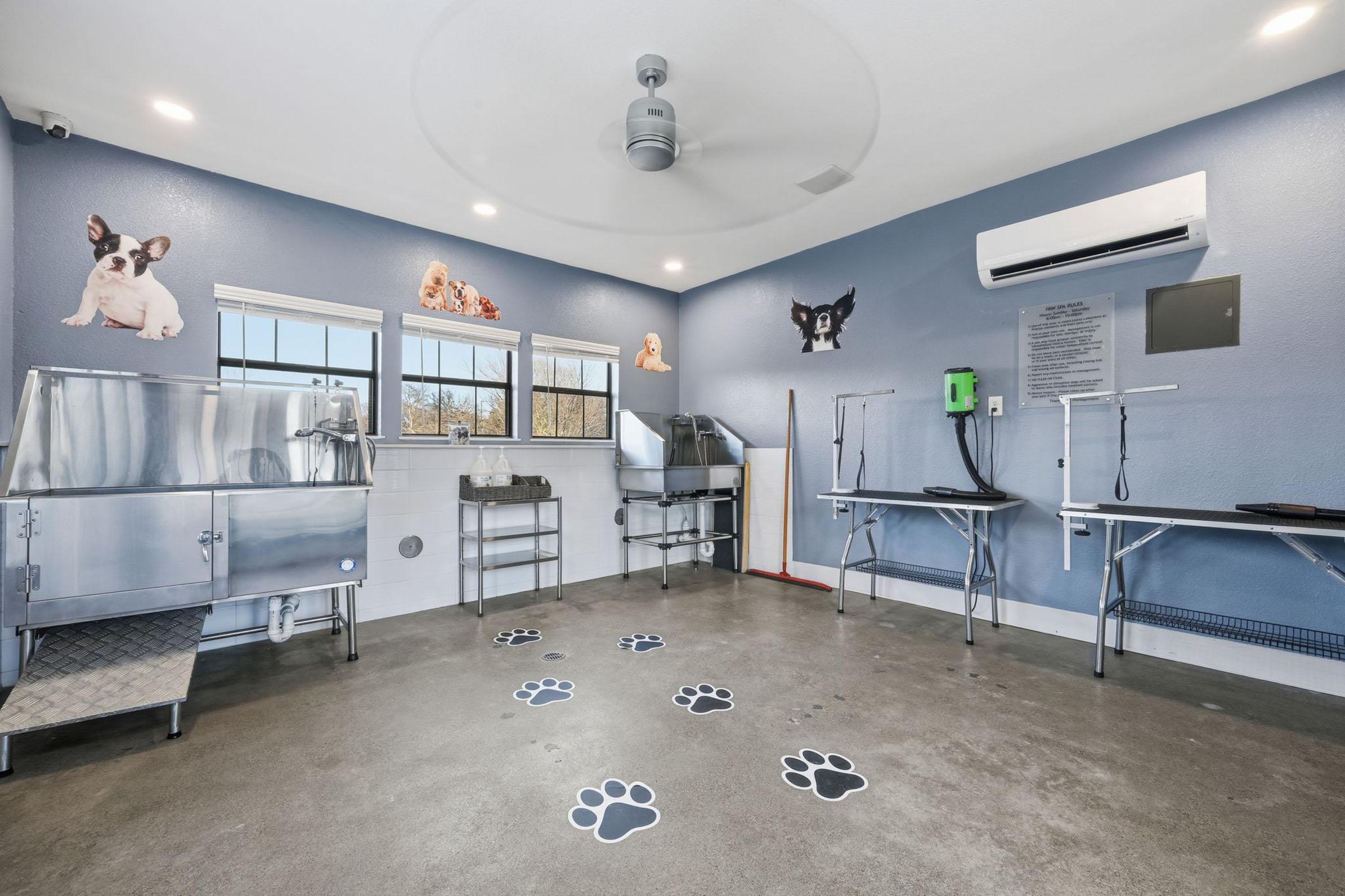 A clean, bright pet grooming room featuring stainless steel wash stations, grooming tables, and blue walls adorned with pictures of dogs. The floor is marked with paw print designs, and large windows allow natural light into the space. There is also a wall-mounted pet dryer and an air conditioning unit.