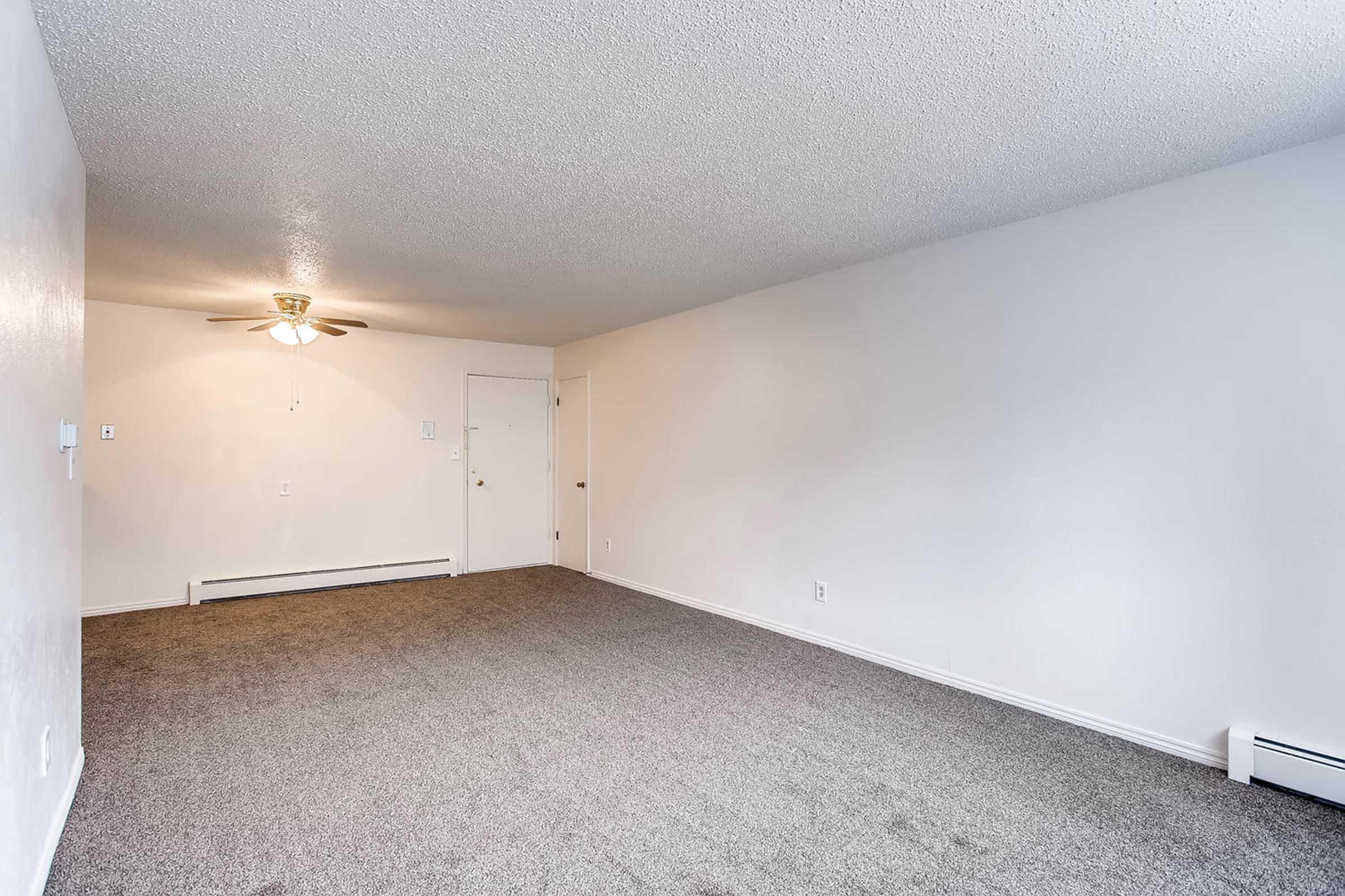 Empty room with light gray carpet and white walls, featuring a ceiling fan. A door leads outside on one wall, and a wall-mounted heating unit is visible. The space is well-lit with natural light and has no furniture, creating a blank canvas for interior design.