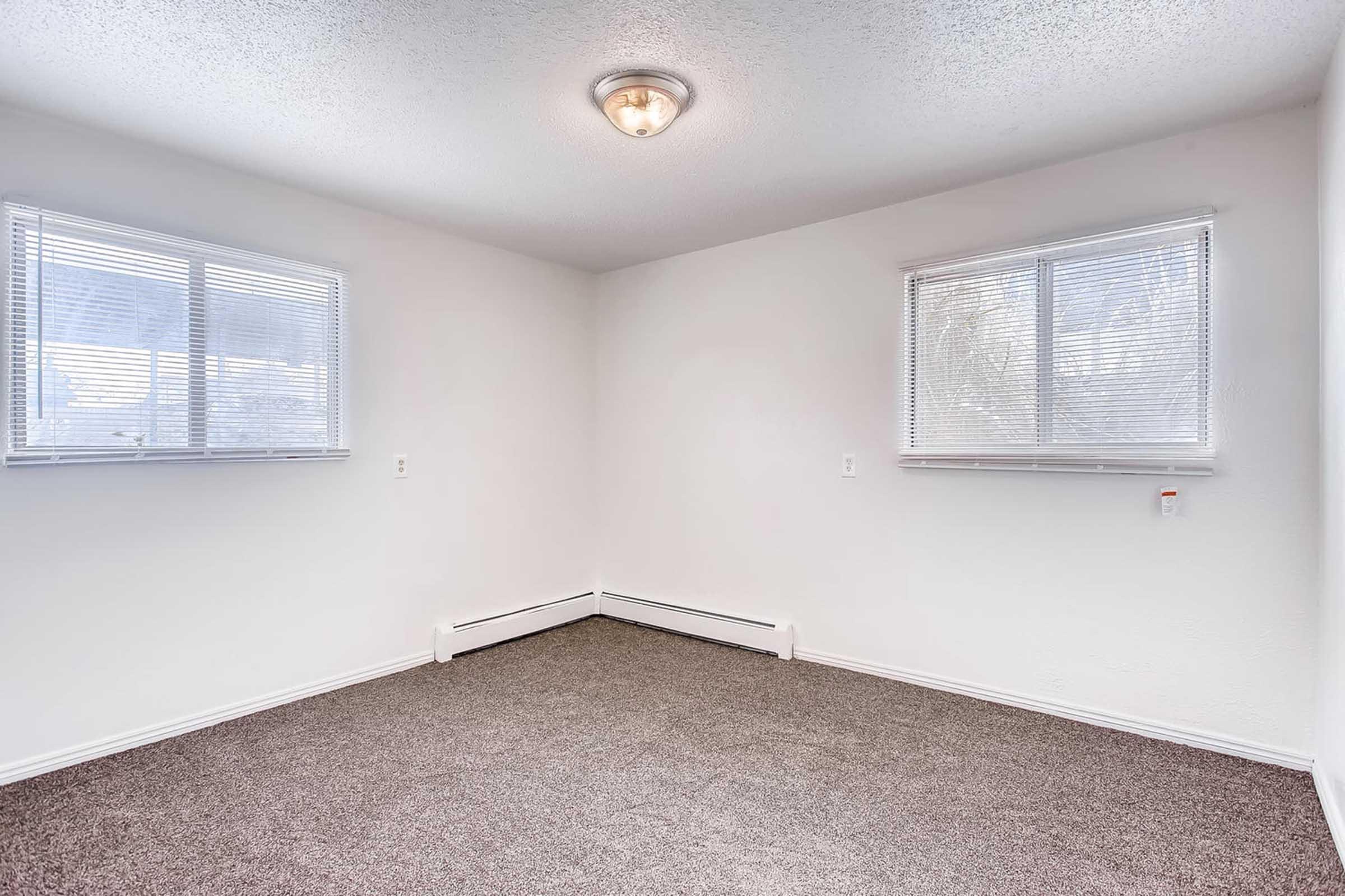 Empty room featuring light-colored walls and ceiling, with two windows allowing natural light. The floor is covered with gray carpet, and a ceiling light fixture is visible. Baseboard heating is installed along the wall. The space looks clean and ready for furnishing.