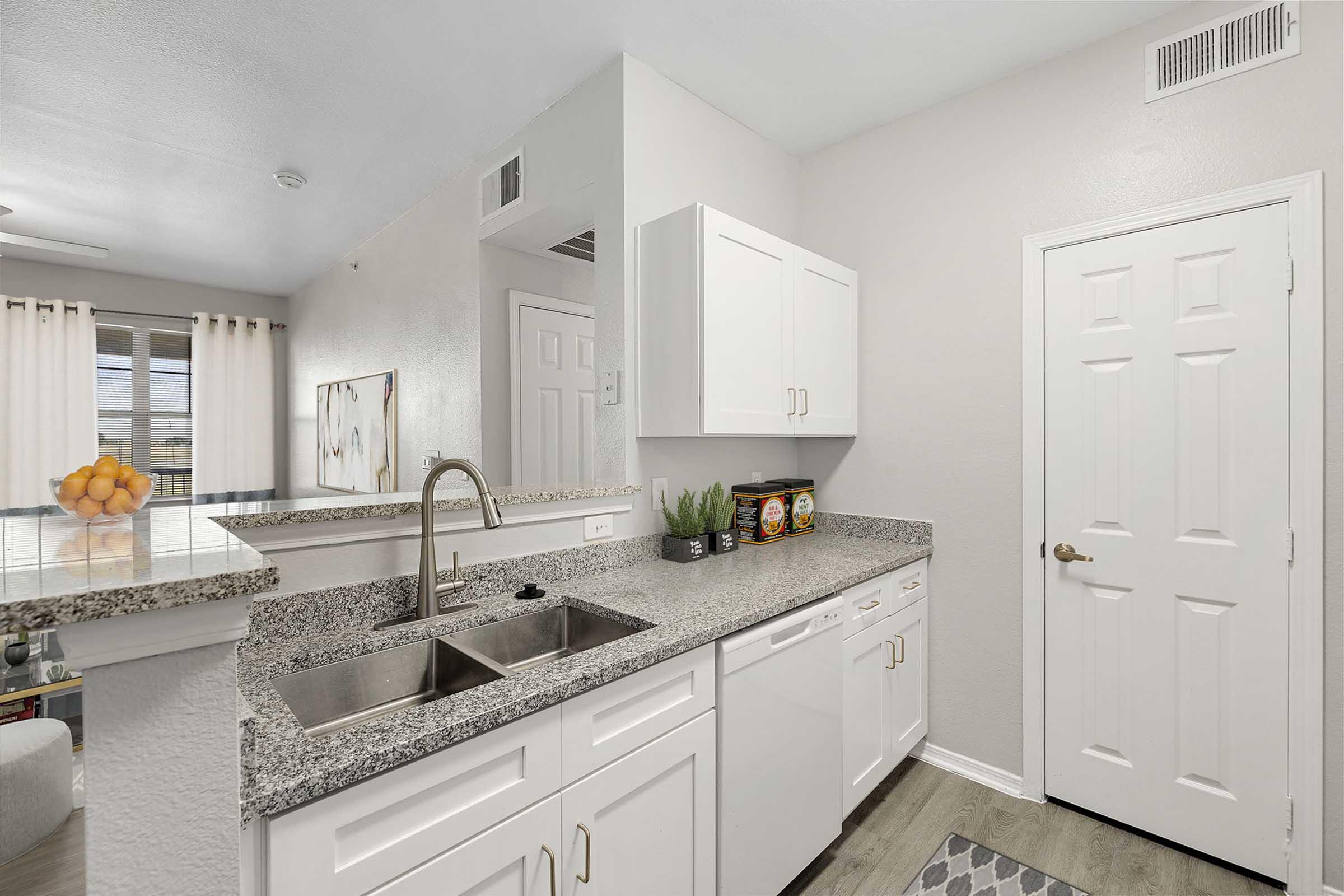 Modern kitchen featuring white cabinetry, a granite countertop with double sinks, and a door leading to another area. Decor includes potted plants and a bowl of oranges on the counter, with bright natural light coming in from a nearby window. The walls are painted a light color, creating a spacious feel.
