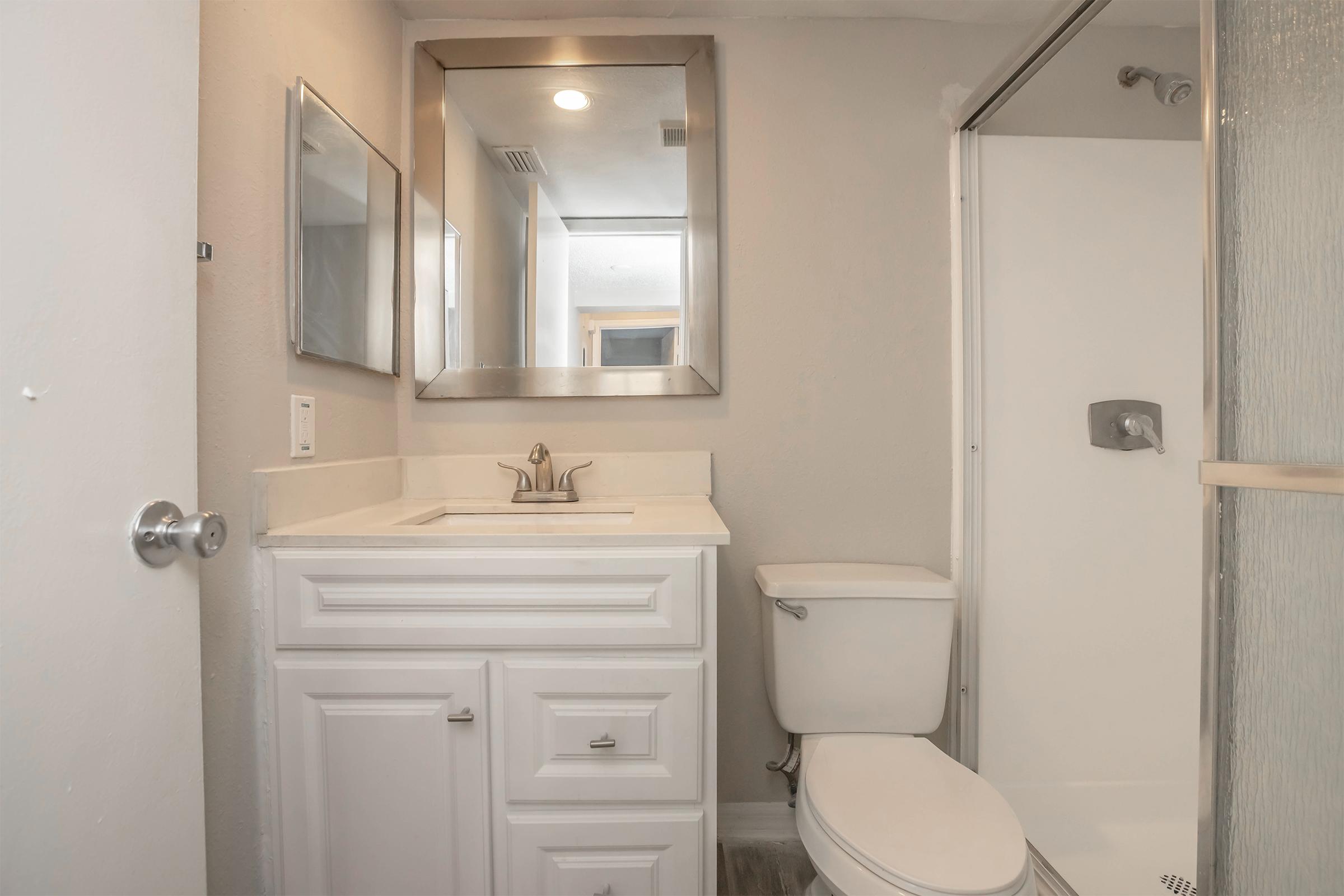 A small, modern bathroom featuring a white vanity with a sink, a toilet, and a glass shower with a silver handle. The walls are painted light gray, and there's a large mirror above the vanity reflecting light. The flooring is a light wood-like material, adding warmth to the space.