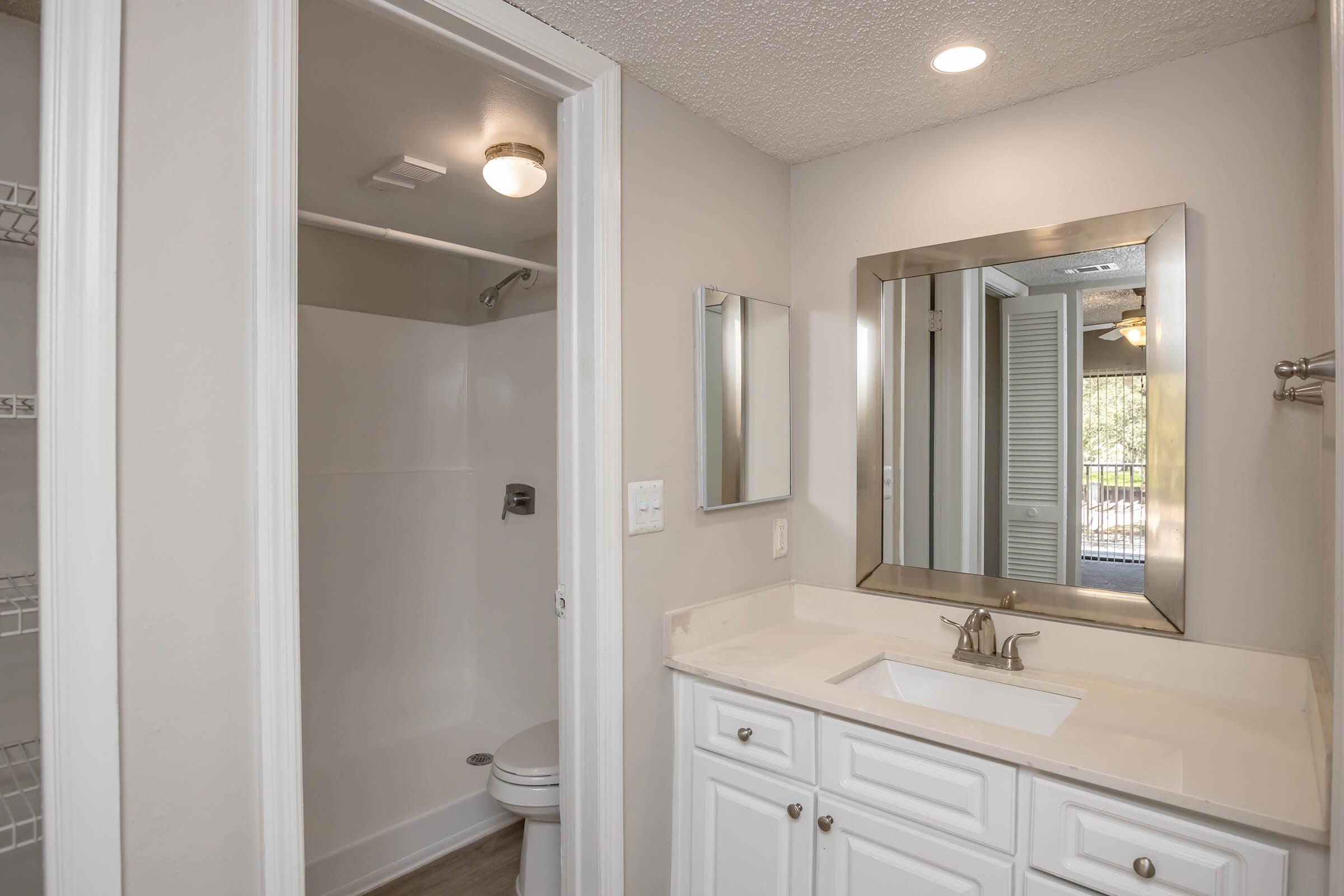 Modern bathroom featuring a light-colored vanity with a sink, a large mirror, and a separate shower area with a glass door. The walls are painted in a soft gray hue, and there’s overhead lighting. A toilet is visible near the shower, and there’s an organized storage space on the left.