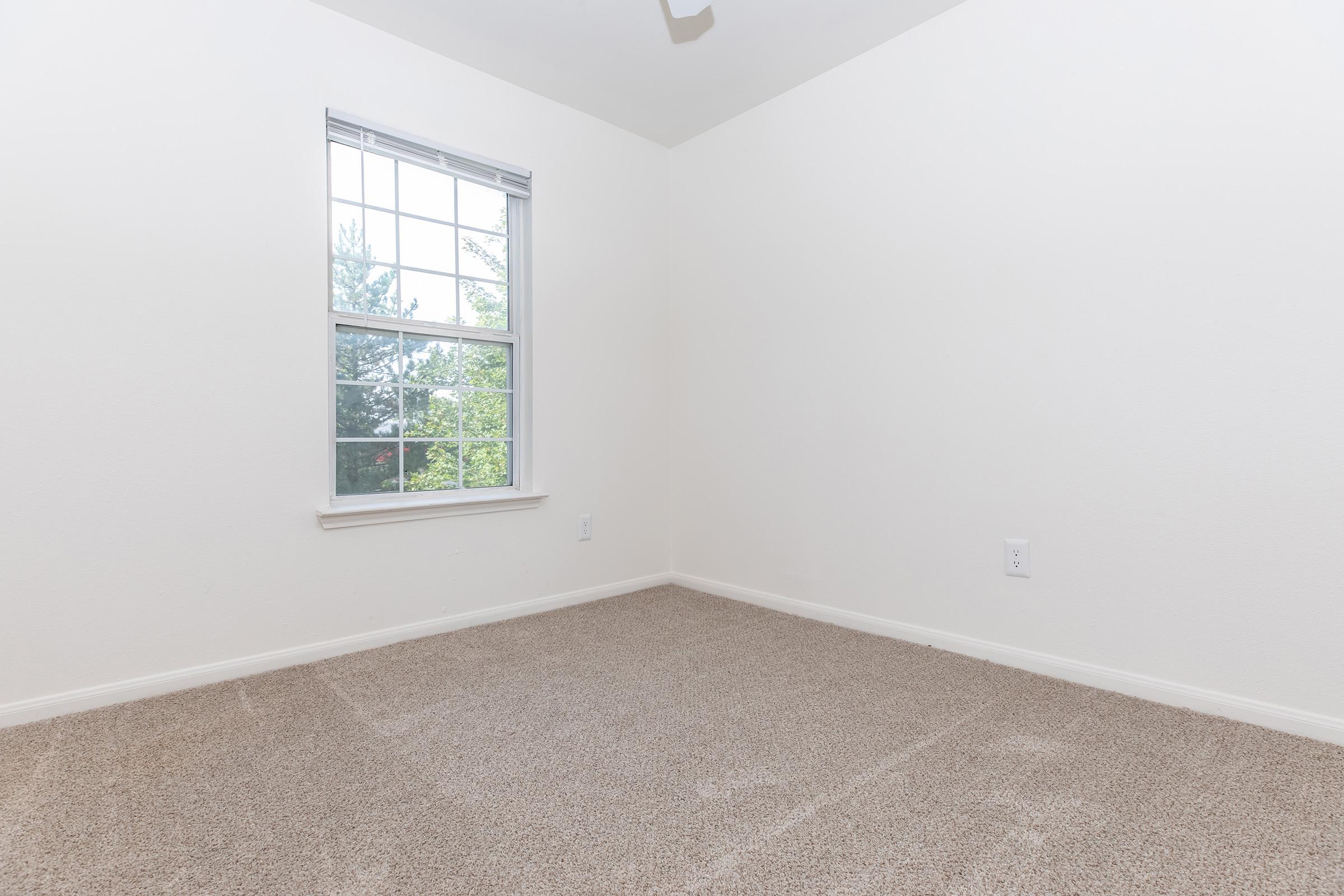 Empty room with light-colored walls and beige carpet. A single window lets in natural light, offering a view of greenery outside. The space is uncluttered and has a simple, clean aesthetic, ideal for various uses or decoration.