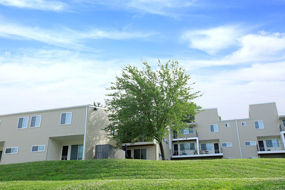 a large lawn in front of a house