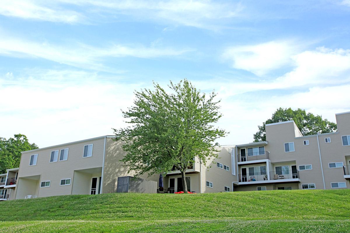 a large lawn in front of a house