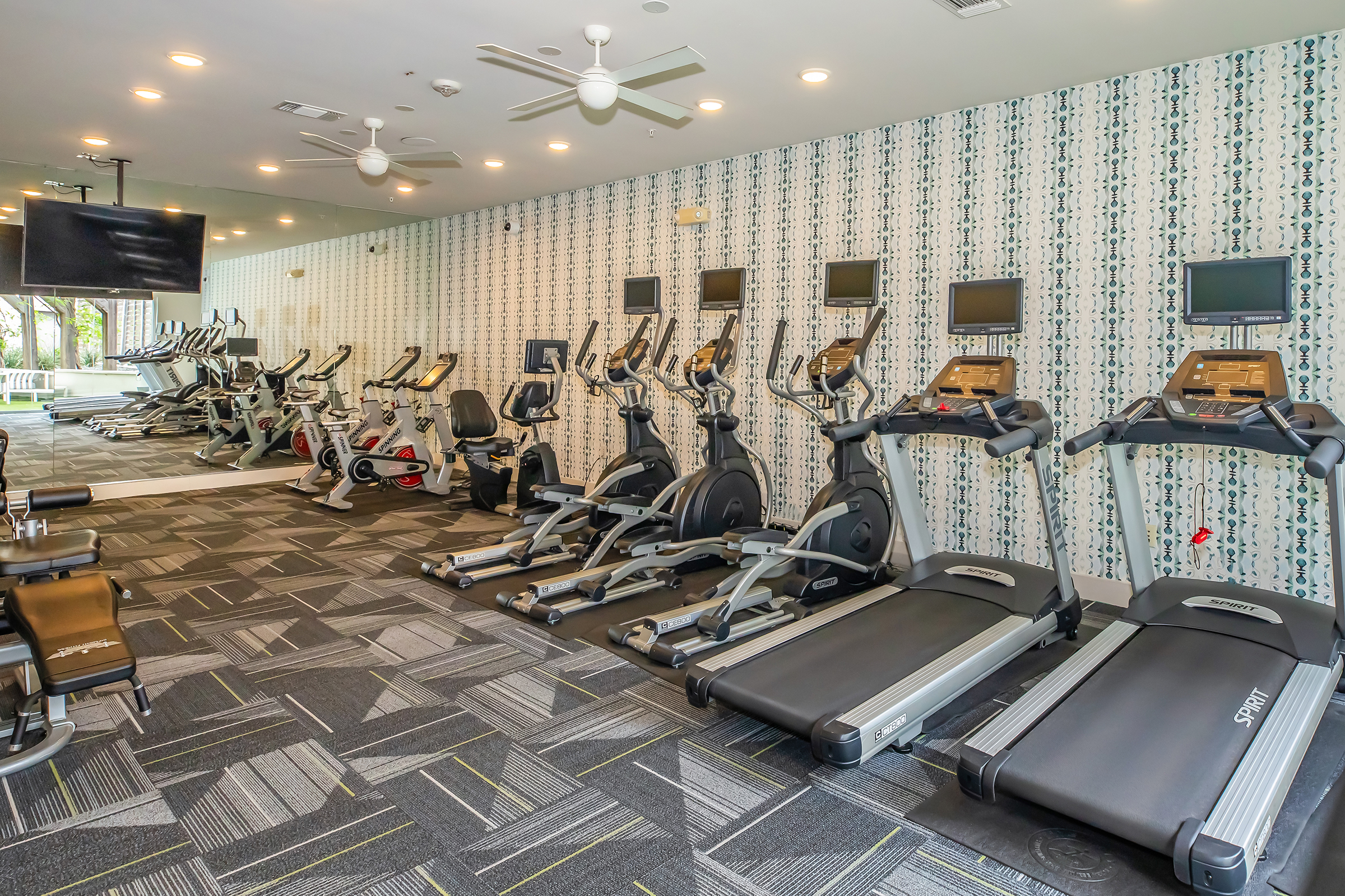 A modern fitness gym featuring multiple treadmills, elliptical machines, and exercise bikes. The room has a light, airy atmosphere with ceiling fans, large mirrors, and screens mounted on the walls. The walls are decorated with a patterned wallpaper, creating an inviting workout space.
