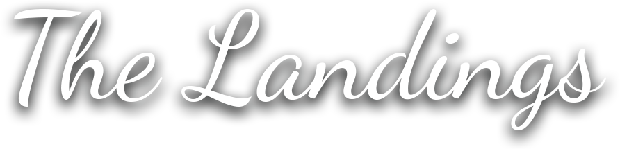 The Landings Promotional Logo