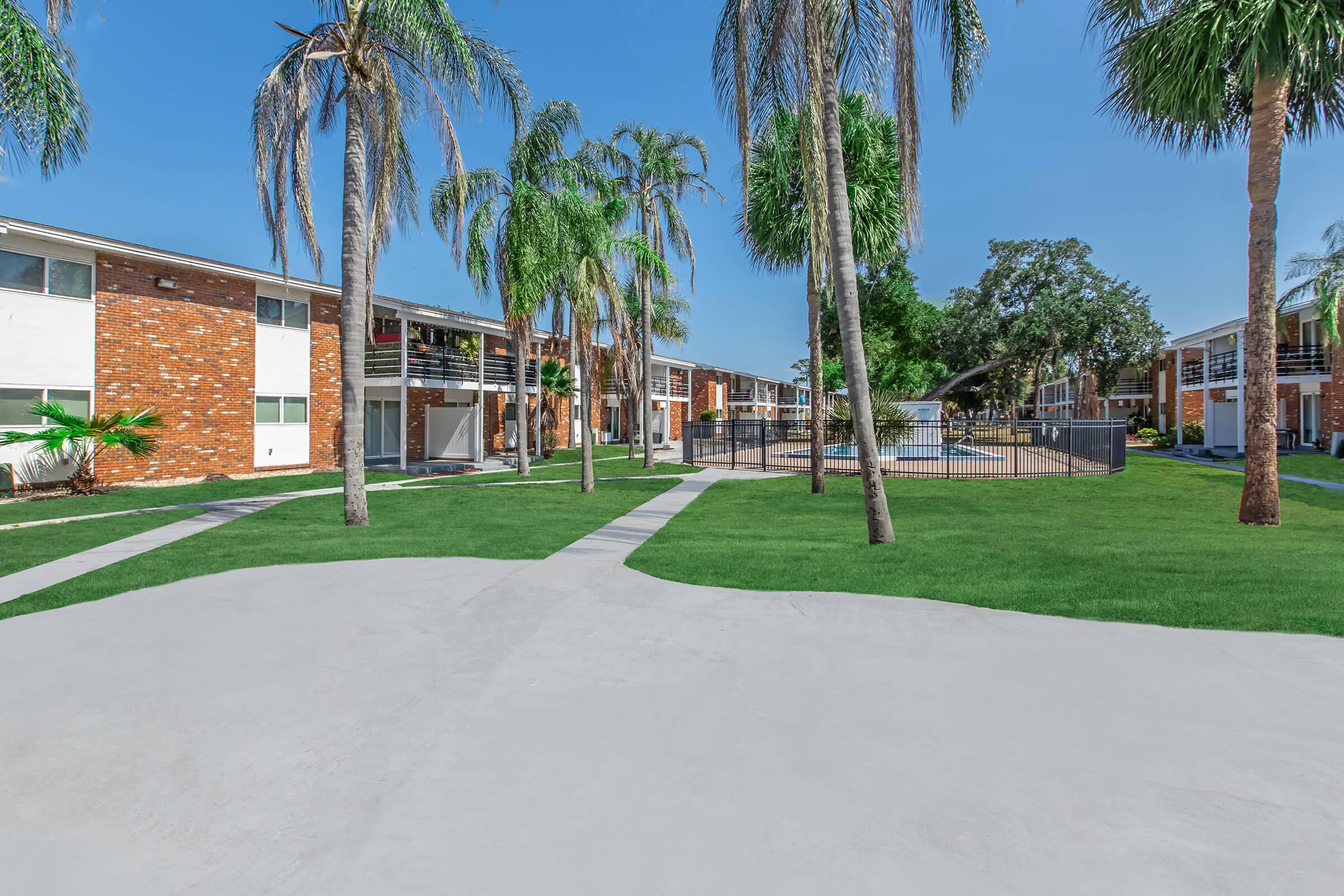 a large lawn in front of a palm tree