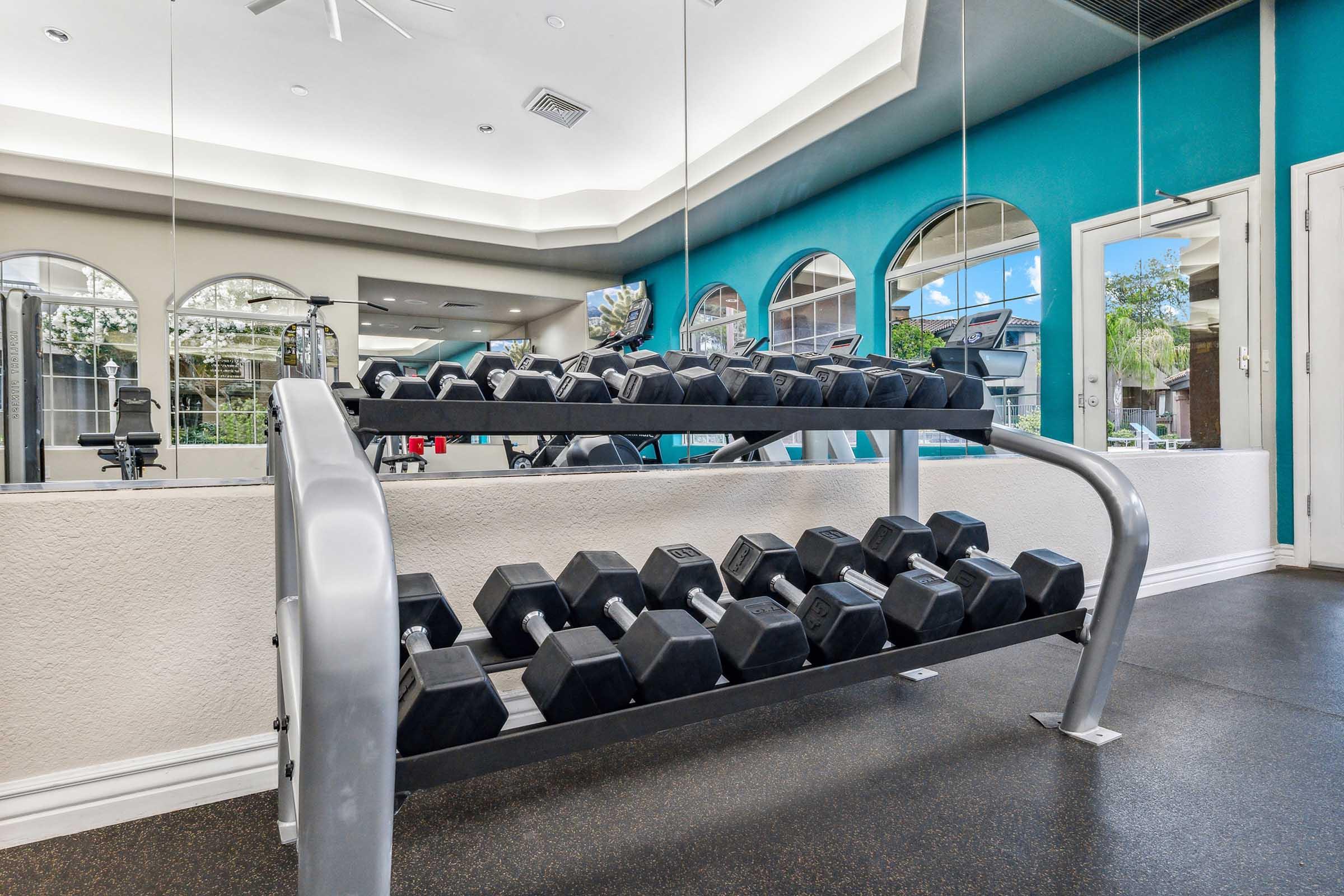 A well-lit gym interior featuring a rack of dumbbells. The walls are a vibrant teal, with large windows allowing natural light