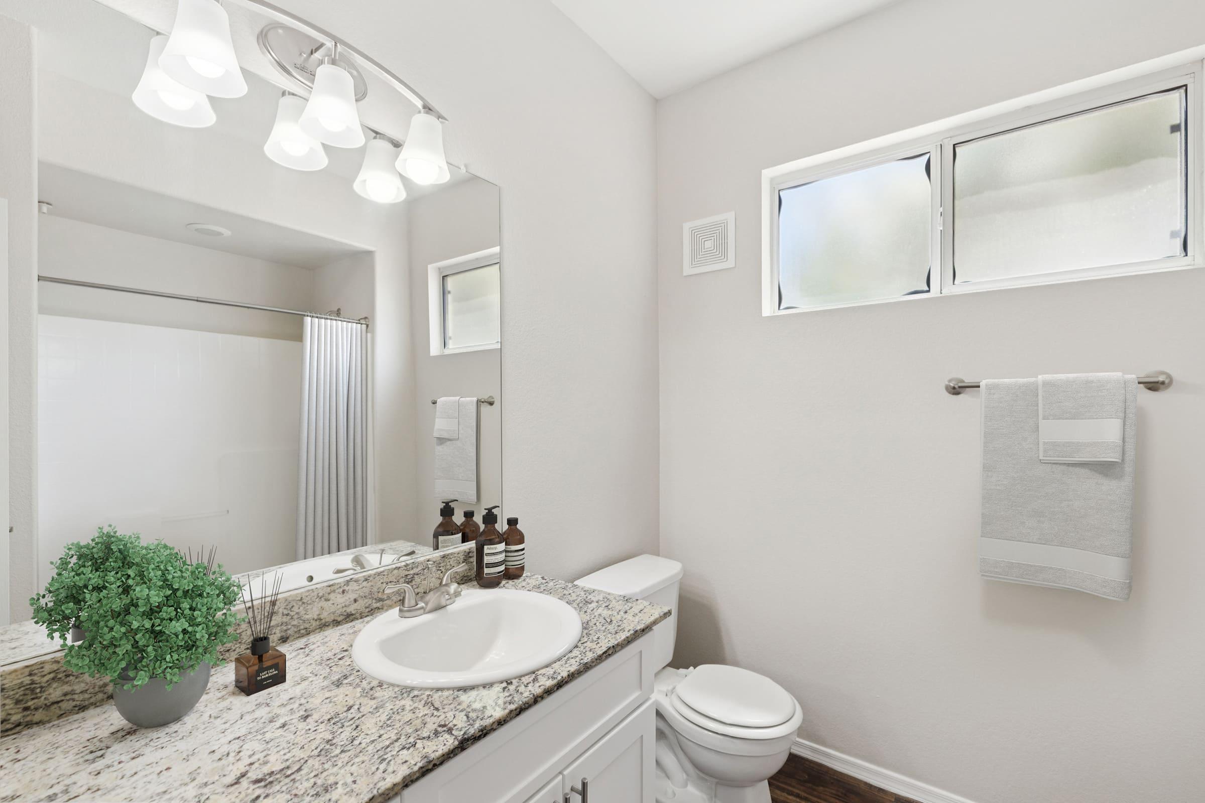 A modern bathroom featuring a granite countertop with a white sink, several brown bottles, and a green plant. There is a shower area with a grey curtain, a white toilet, and a towel bar with two white towels. Soft natural light enters through a window, highlighting the clean, minimalist design.