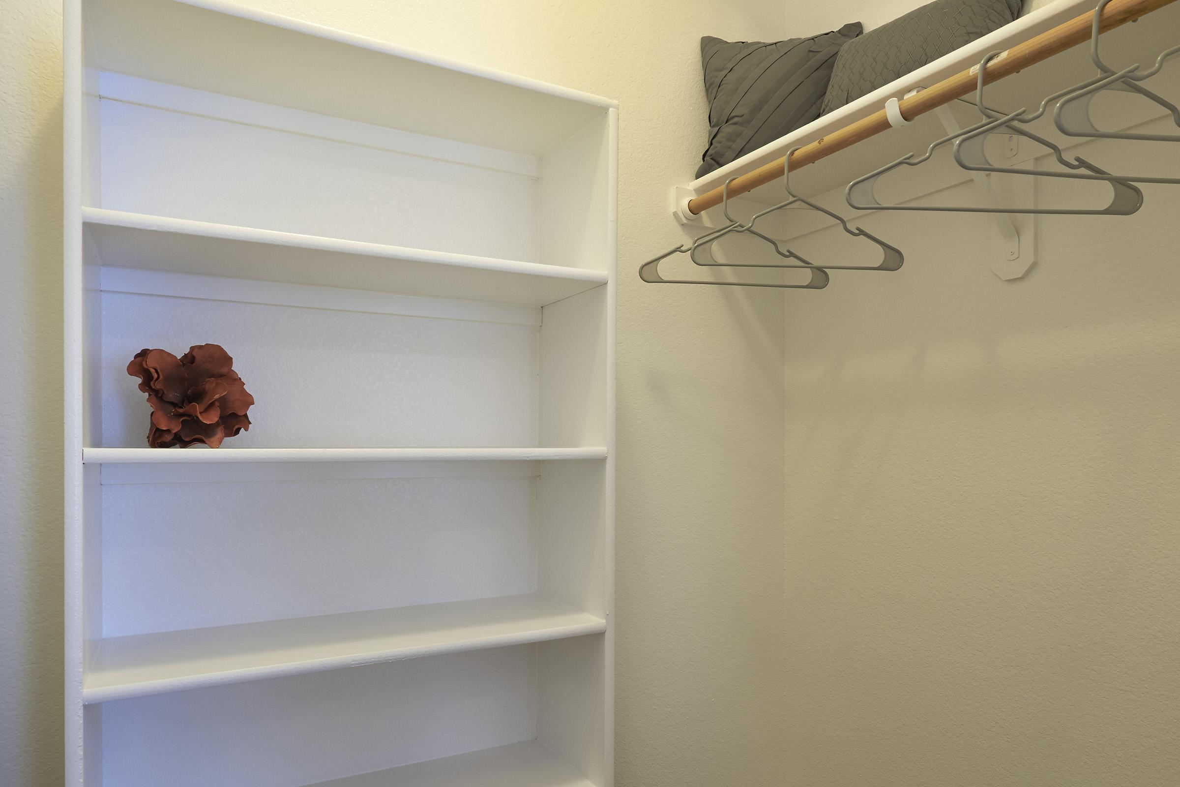 A minimalistic closet interior featuring white shelves, a single decorative object resembling coral on one of the shelves, and a wooden clothing rod with several empty hangers above.