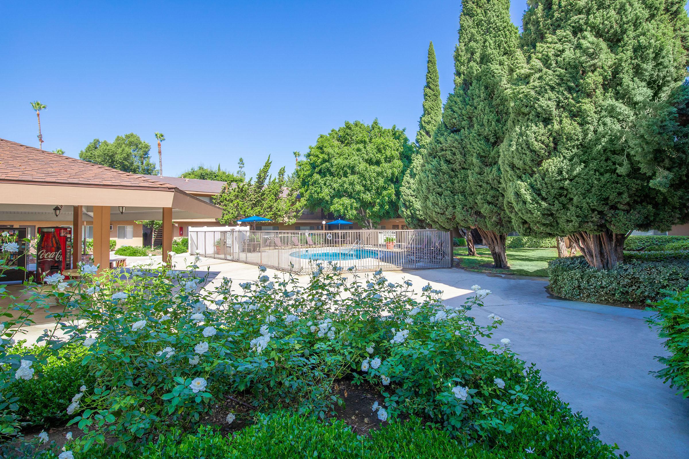 A sunny outdoor area featuring a swimming pool surrounded by a fence. Lush green trees and flowering bushes add to the scenery, with a building visible on the left that has a Coca-Cola sign. The sky is clear blue, creating a welcoming atmosphere.
