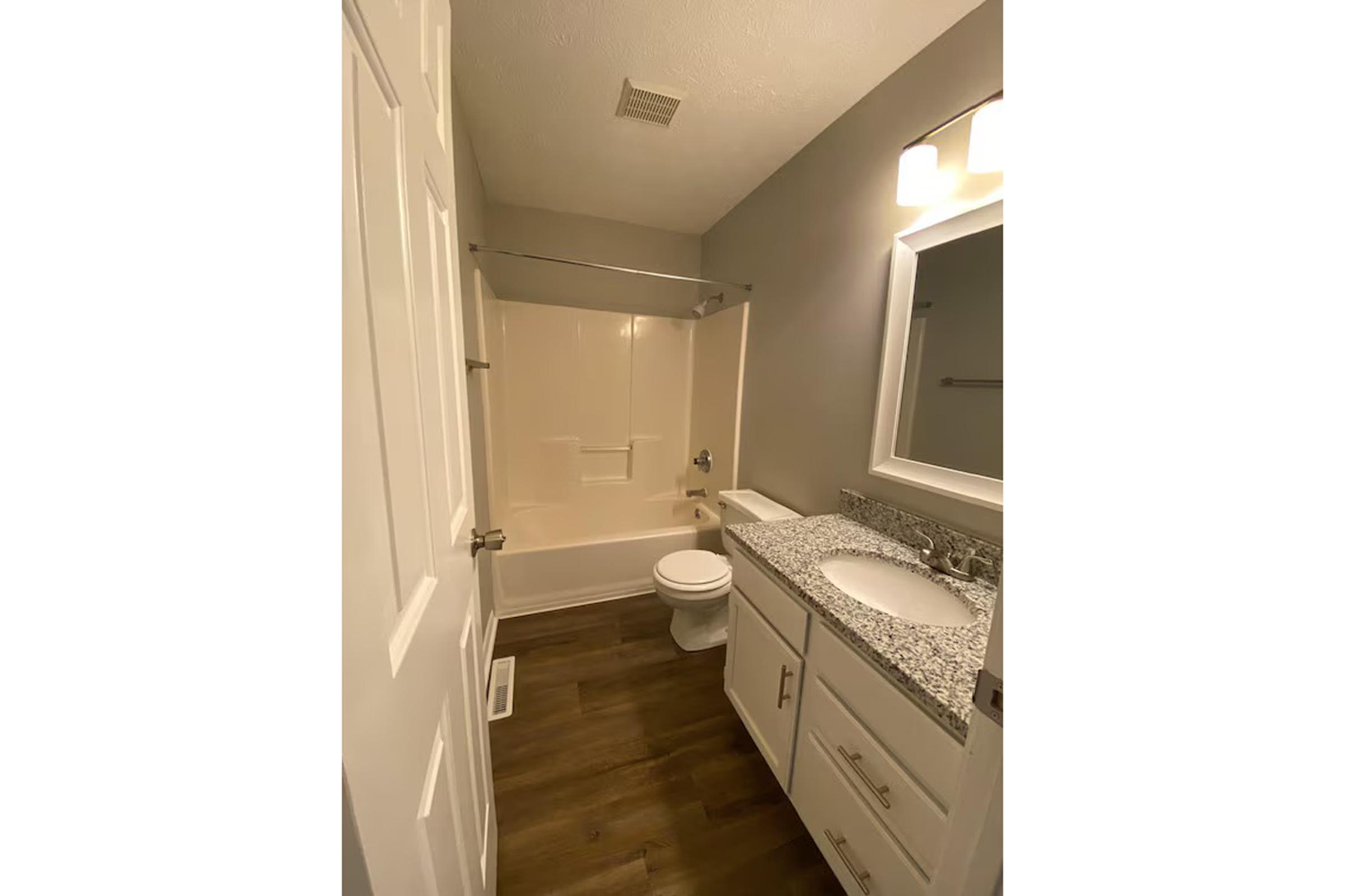A modern bathroom featuring a bathtub with a shower, a toilet, and a vanity with a countertop. The walls are painted light gray, and the flooring is a wood-like laminate. There is a large mirror above the sink, and a light fixture above the mirror.