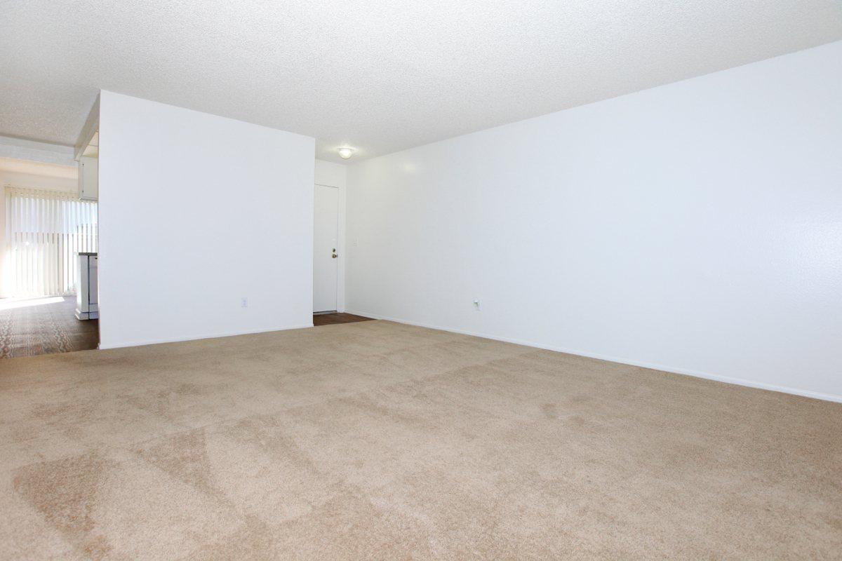 Living room with carpet