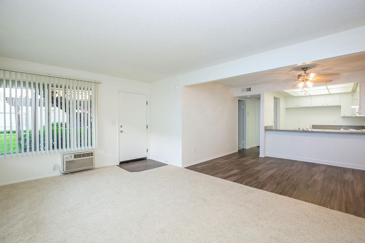 Carpeted living room