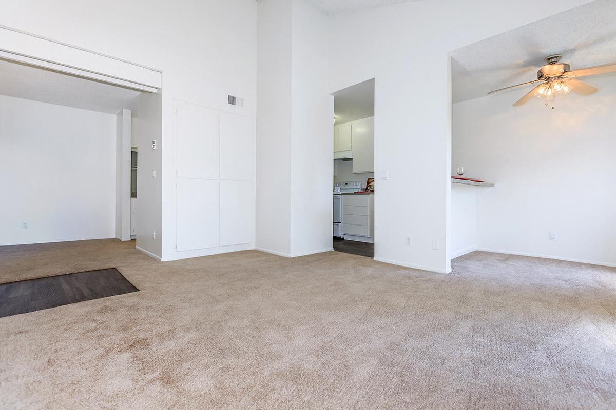 Living room and dining room with carpet