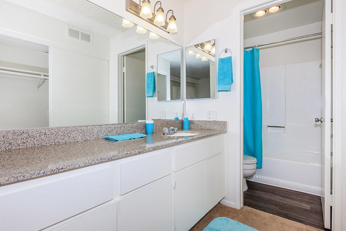 Bathroom sink with open door to shower