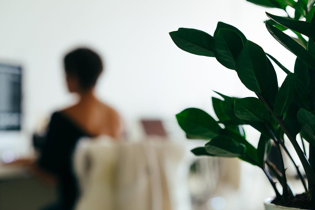 a vase with a flower on a plant