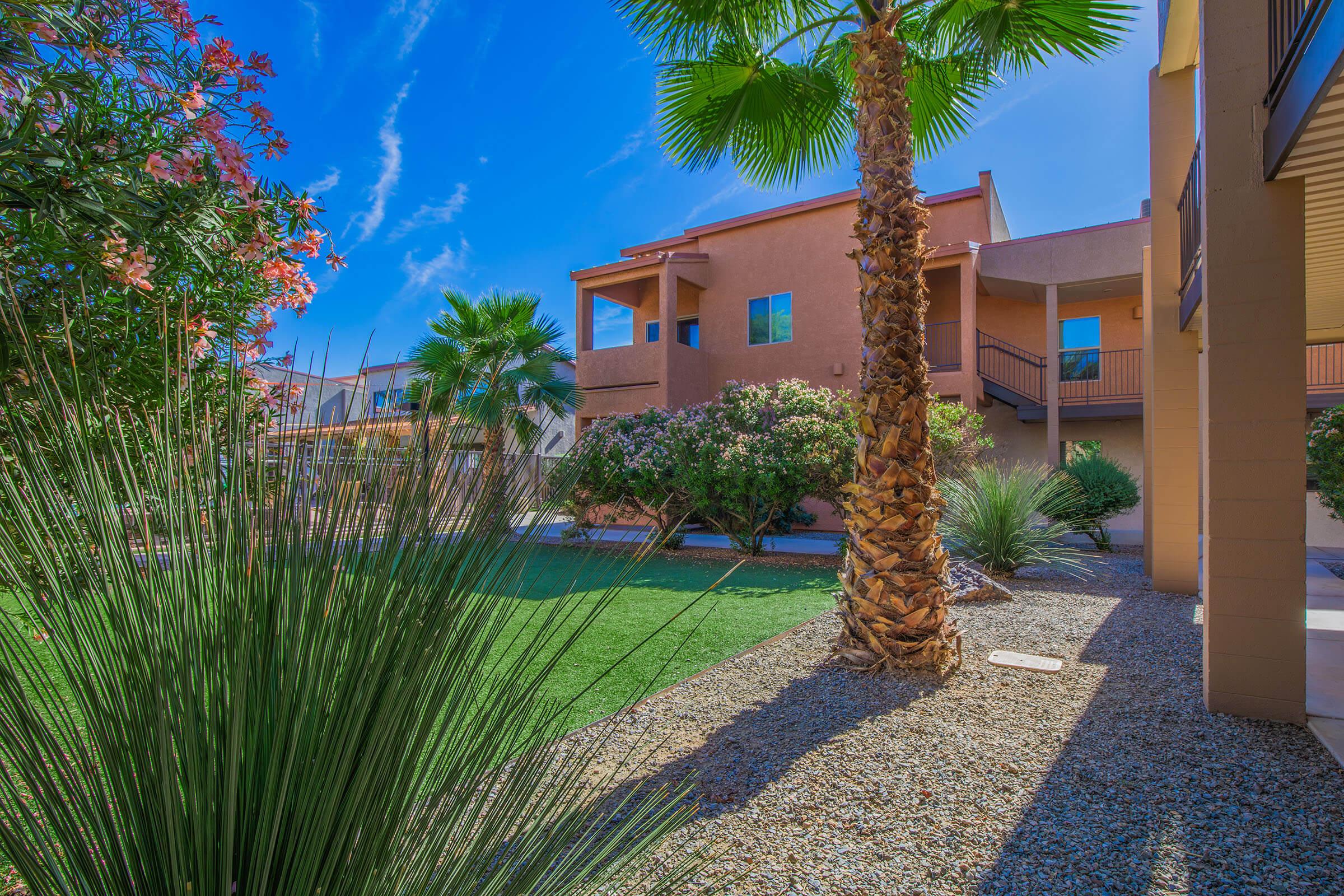 A sunny courtyard featuring tropical plants, including a palm tree and shrubs, surrounded by residential buildings. The clear blue sky is partially covered by light clouds, creating a vibrant and inviting atmosphere. Shadowed areas provide contrast to the brightly lit landscape.