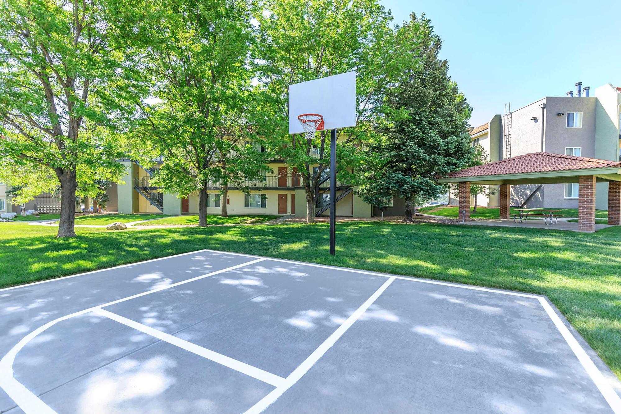 SHOOT SOME HOOPS AT ALTAMIRA